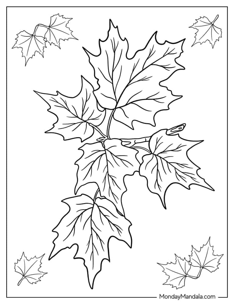 Fall Leaf Coloring Pages