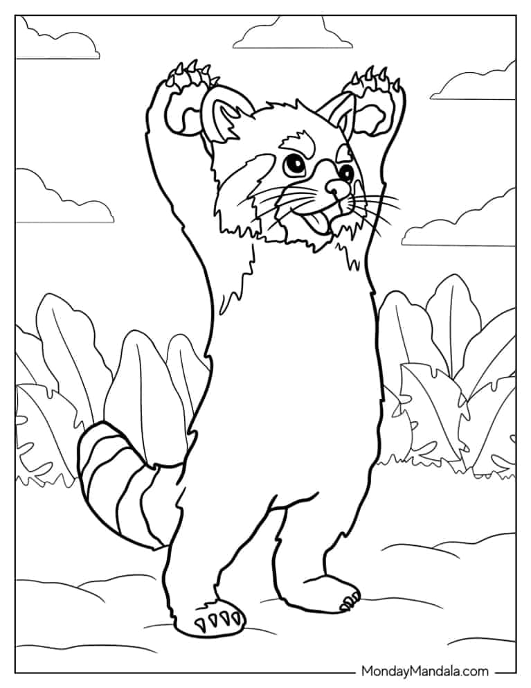 Red Panda Cartoon Coloring Page Red Panda Cartoon Coloring Page
