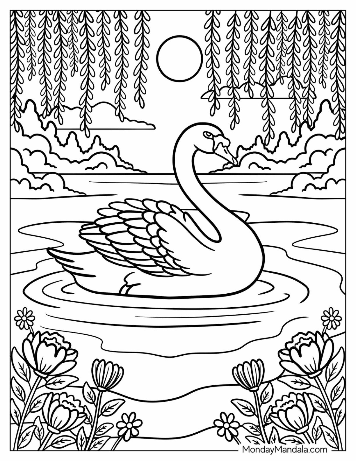 Adult Swan Coloring Page Resting Under Wisteria