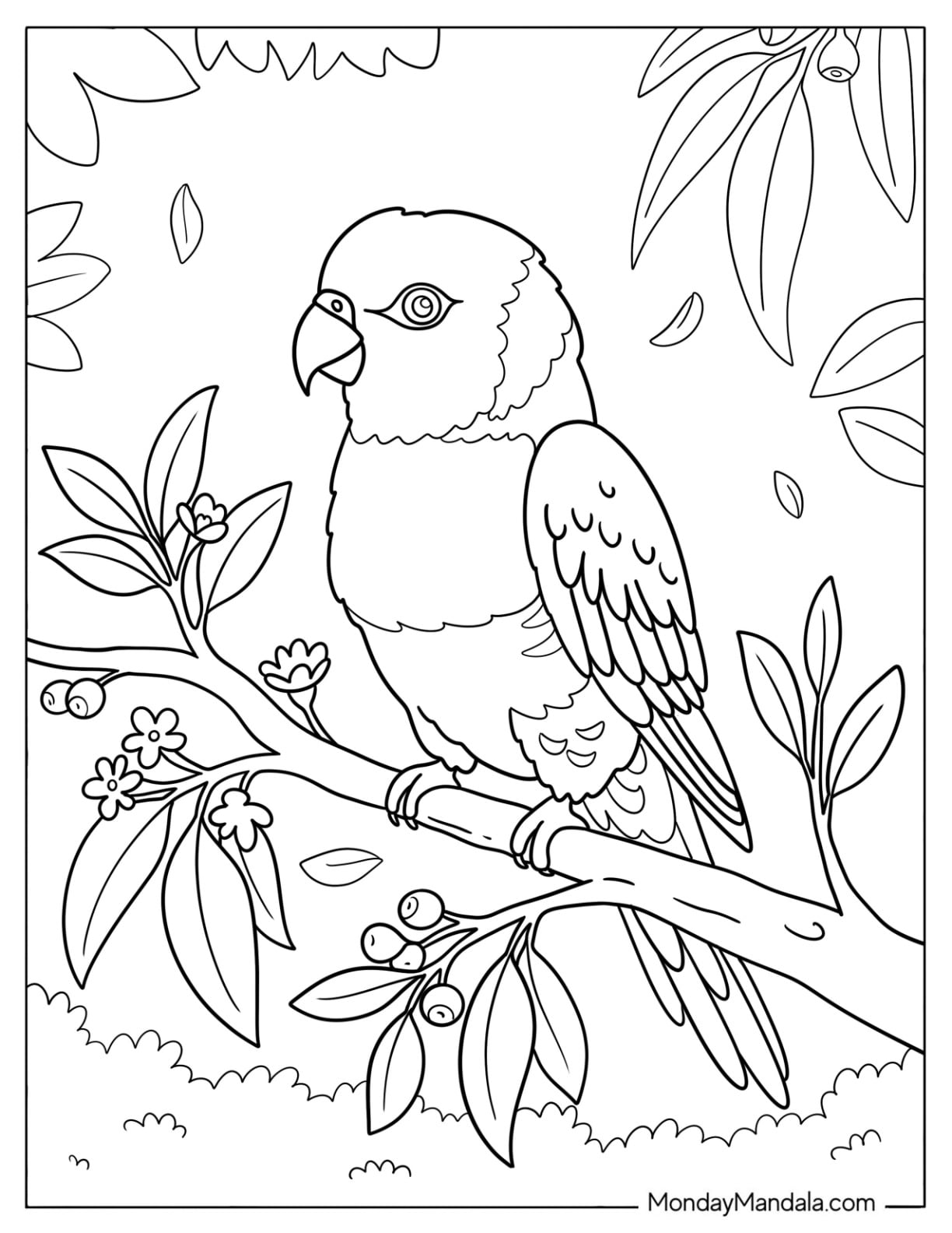 Amazon Parrot Standing on a Flowering Branch Coloring Sheet