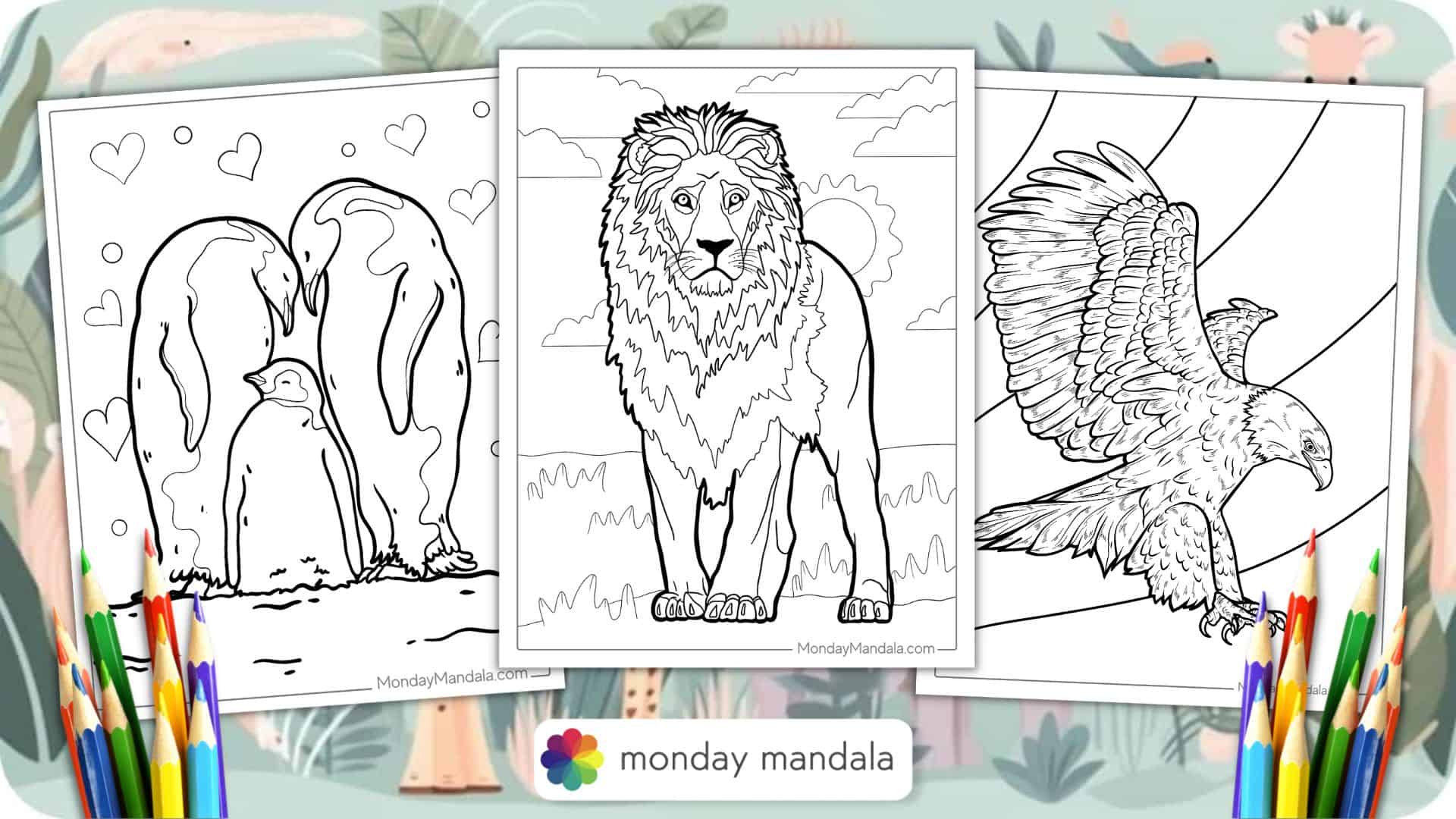 Coloring Book Animals For Kids: For Preschool Children Ages 3-5 - Turtle,  Dolphin, Lion & Many More Big Animal Illustrations To Color For Boys &  Girls