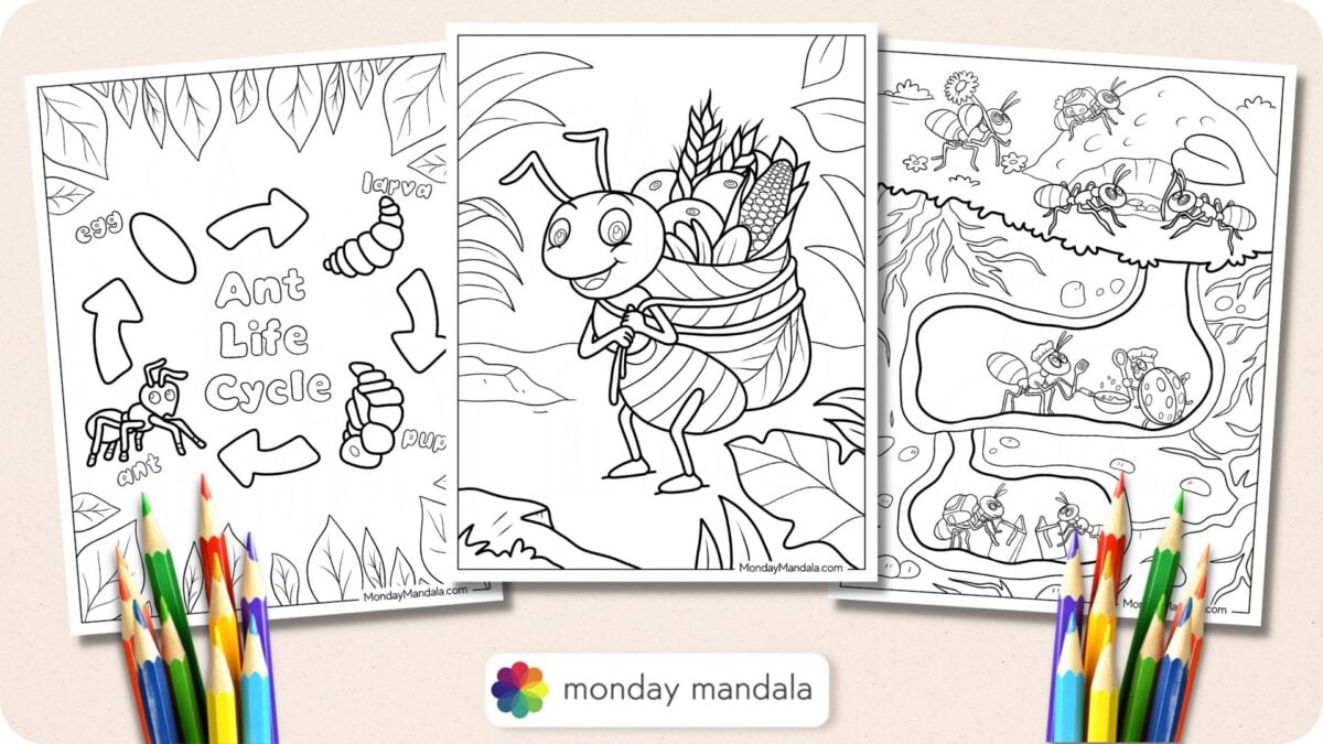 20 Ant Coloring Pages Free Pdf Printables