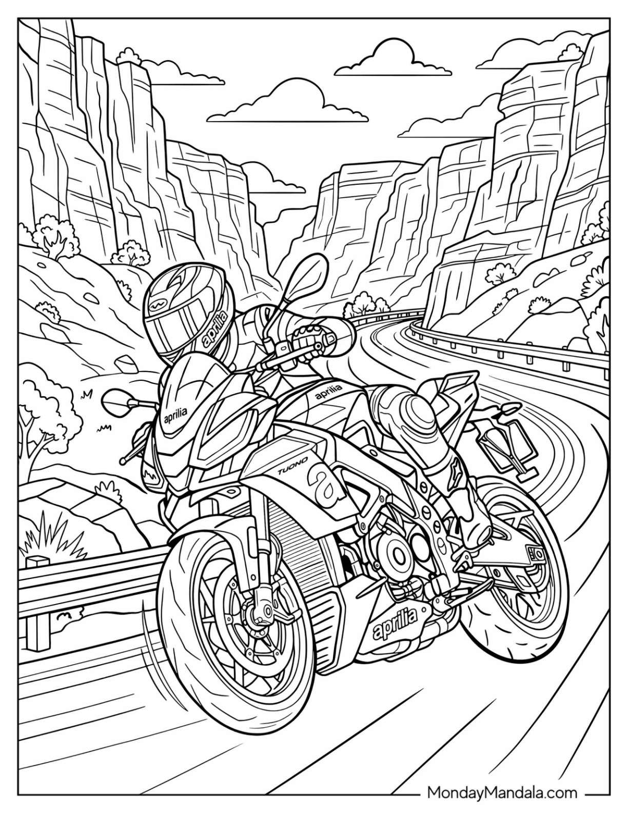 Aprilia Motorcycle Riding Through a Scenic Canyon Road