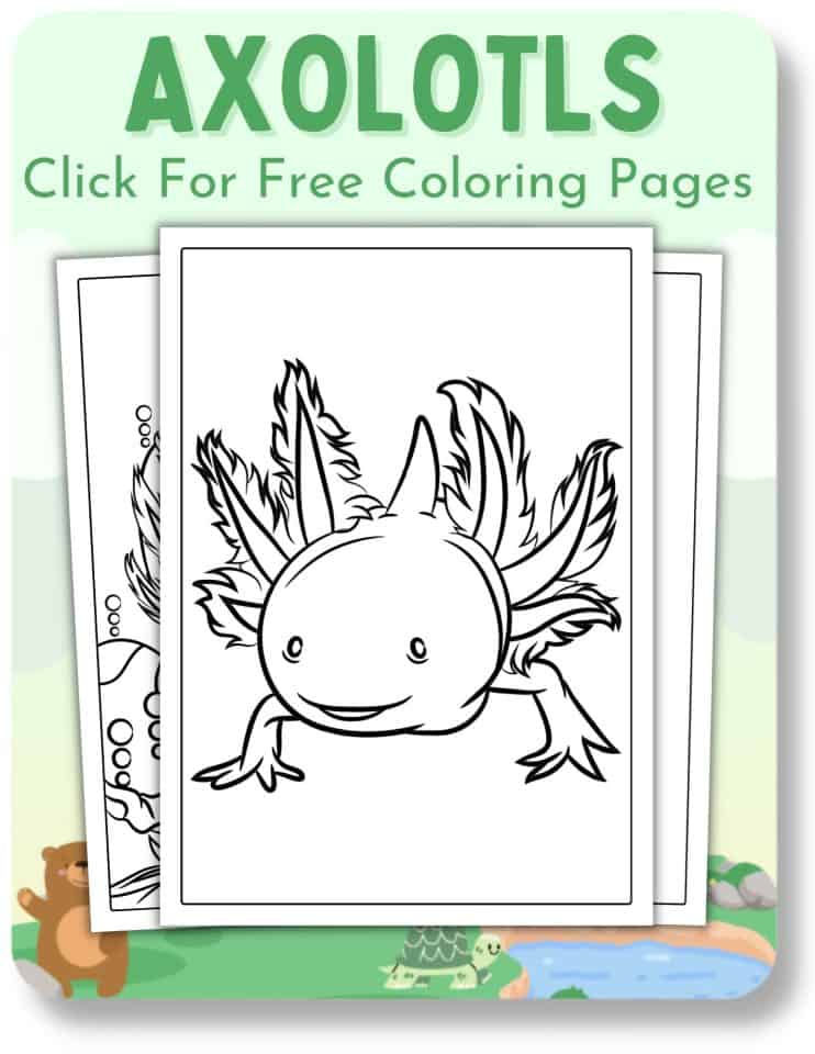 2,000 Animal Coloring Pages (Free PDF Printables)