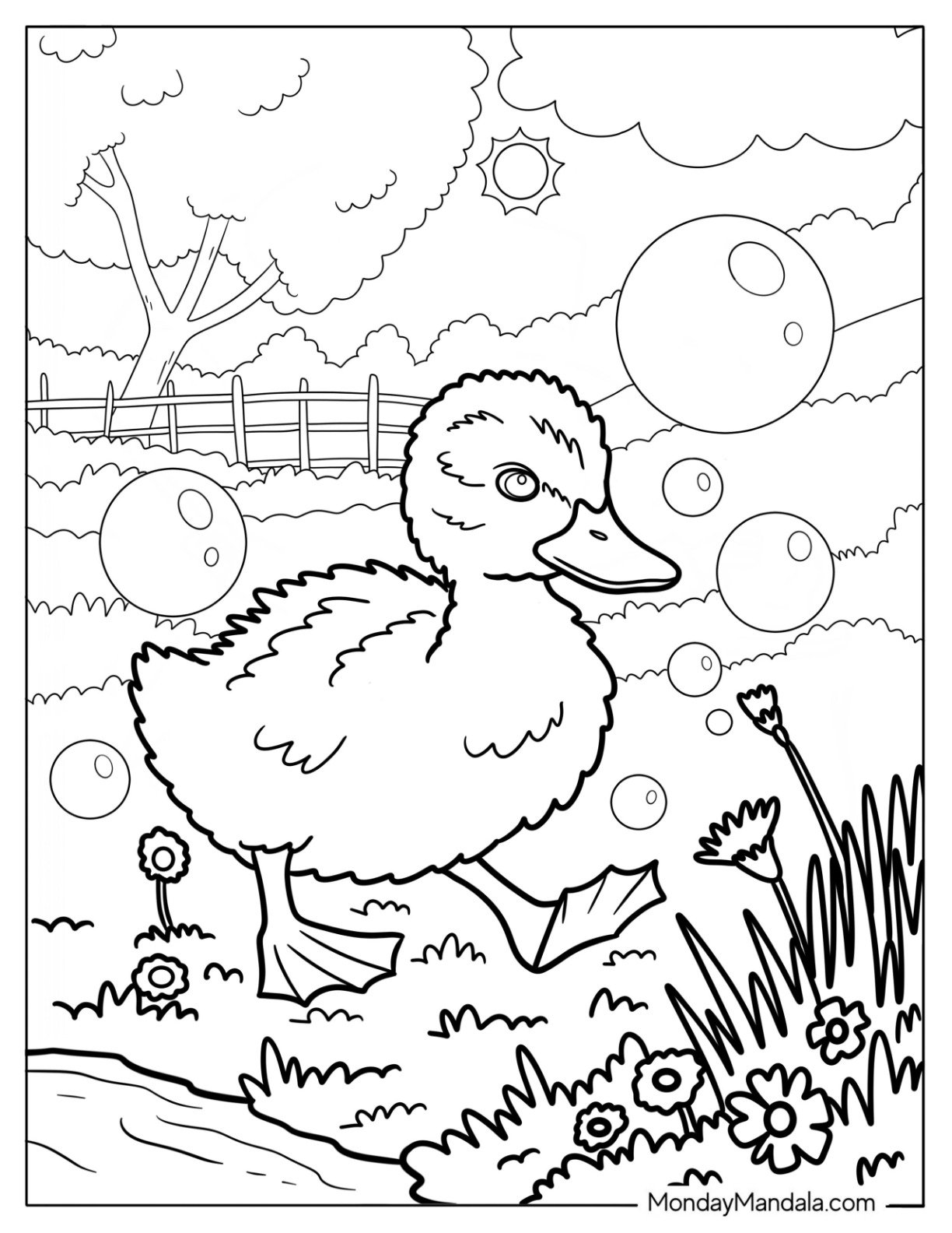 Baby Duck Walking Through Bubbles