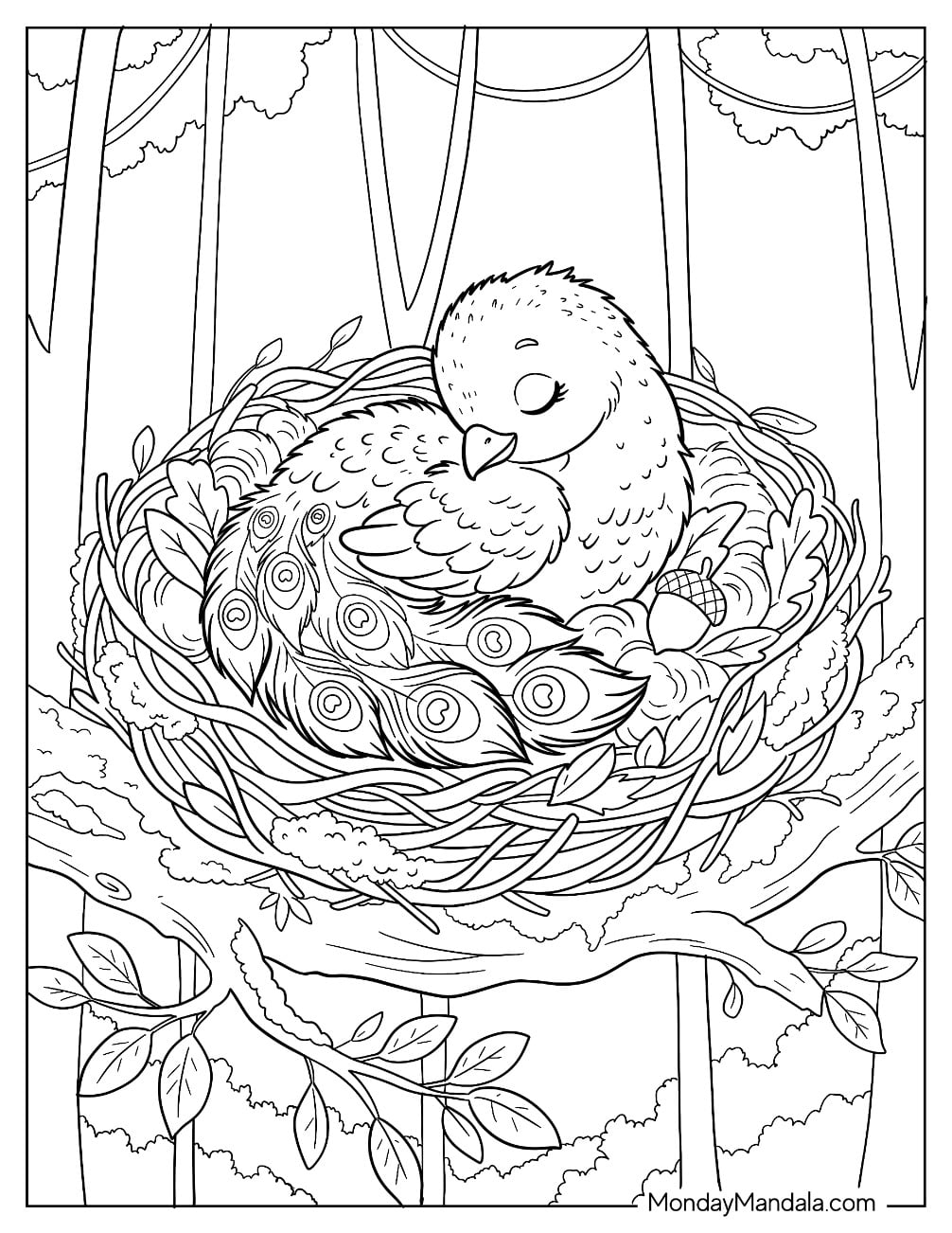 Baby Peacock Sleeping in a Tree Nest Coloring Page for Kids