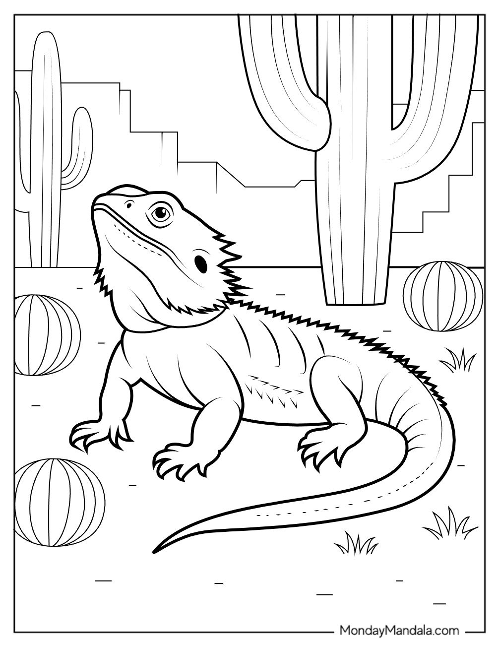 Bearded Dragon Coloring Page in the Desert Surrounded by Cacti for Kids