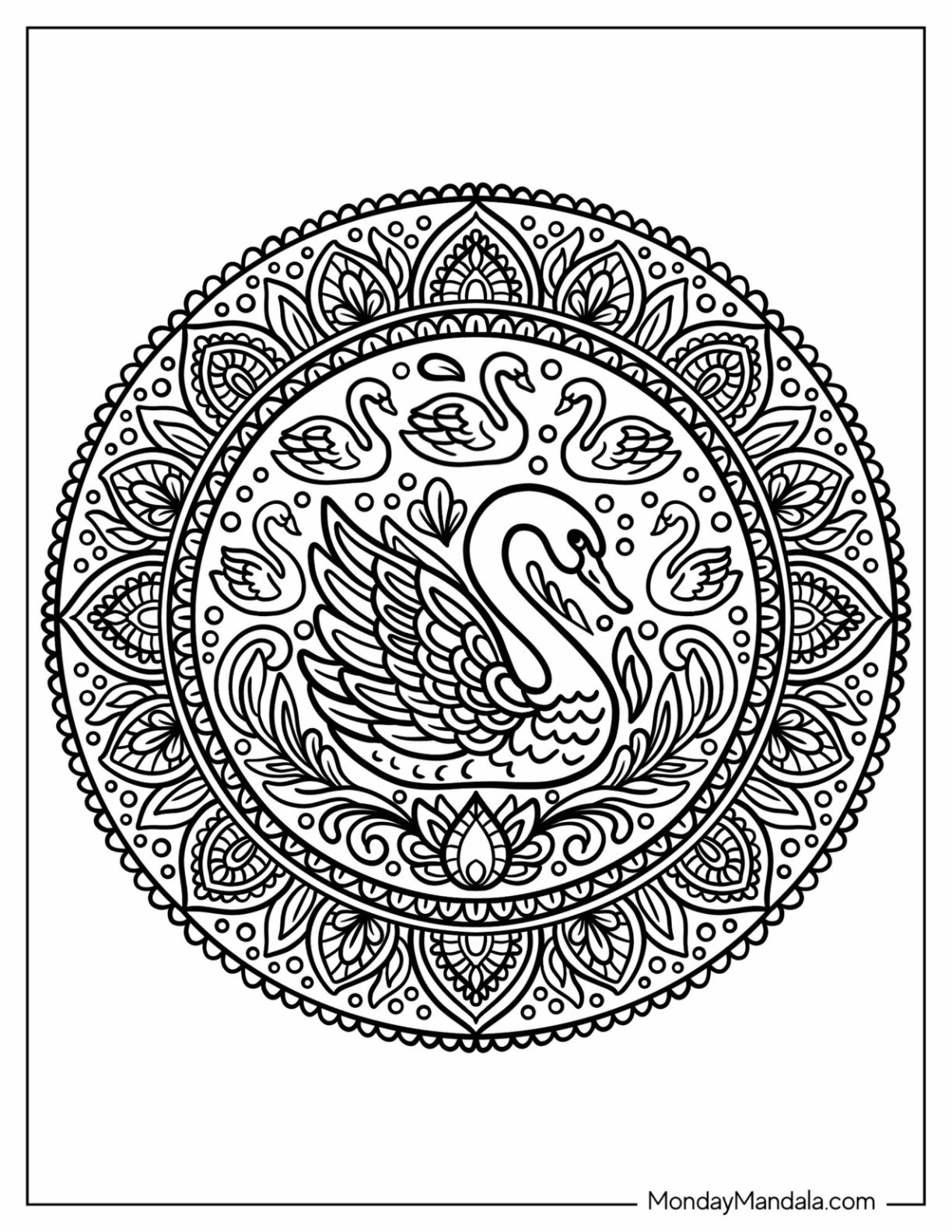 Beautiful Swan Coloring Page Mandala with Floral Elements