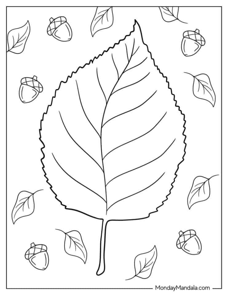 20 Fall Leaves Coloring Pages Free PDF Printables 