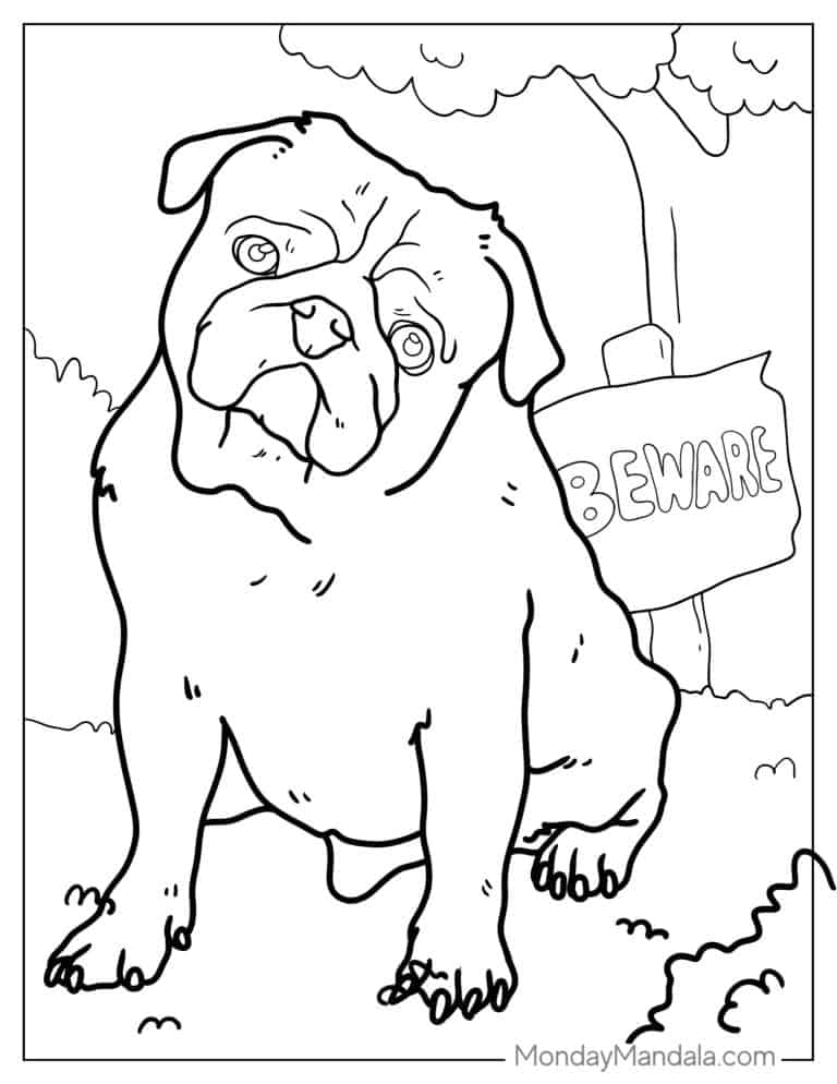 43 Pug Coloring Pages (Free PDF Printables)