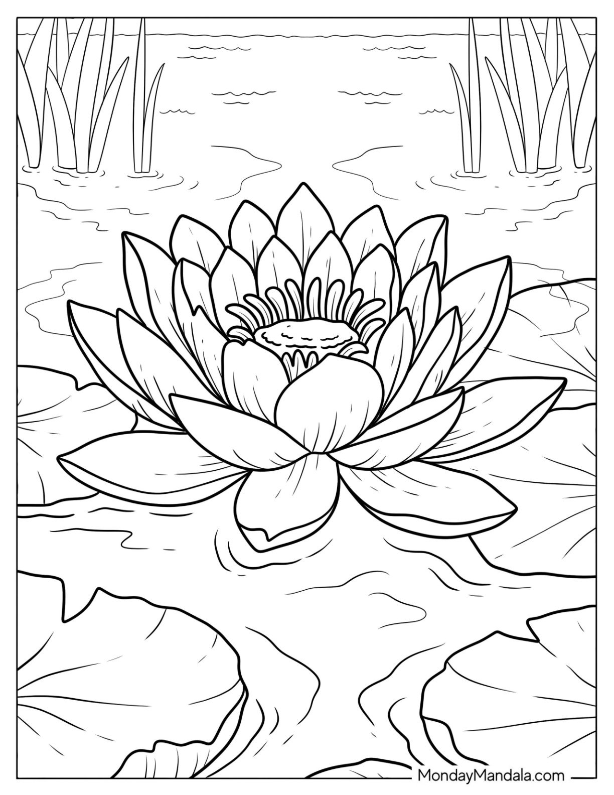 Big Water Lily Flower on a Pond Coloring Sheet for Kids