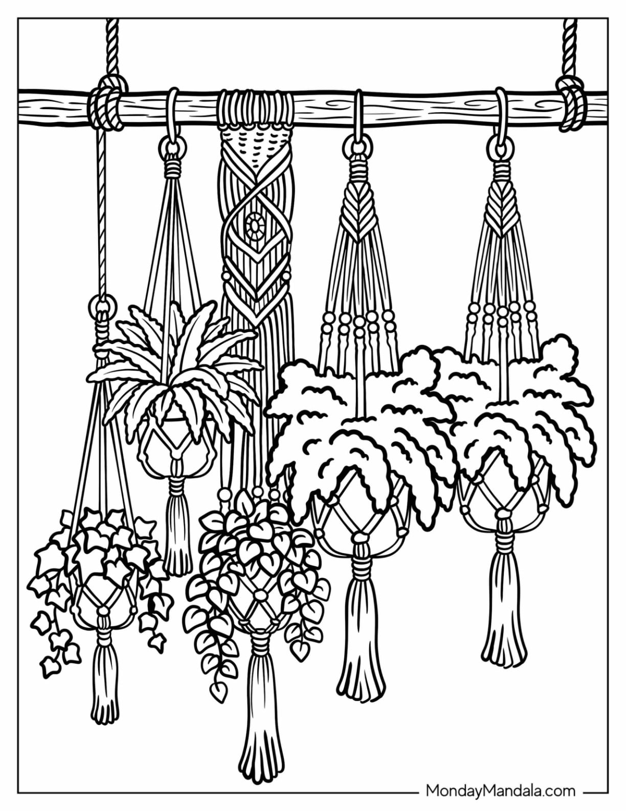 Boho Macramé Plant Hangers with Cascading Houseplants