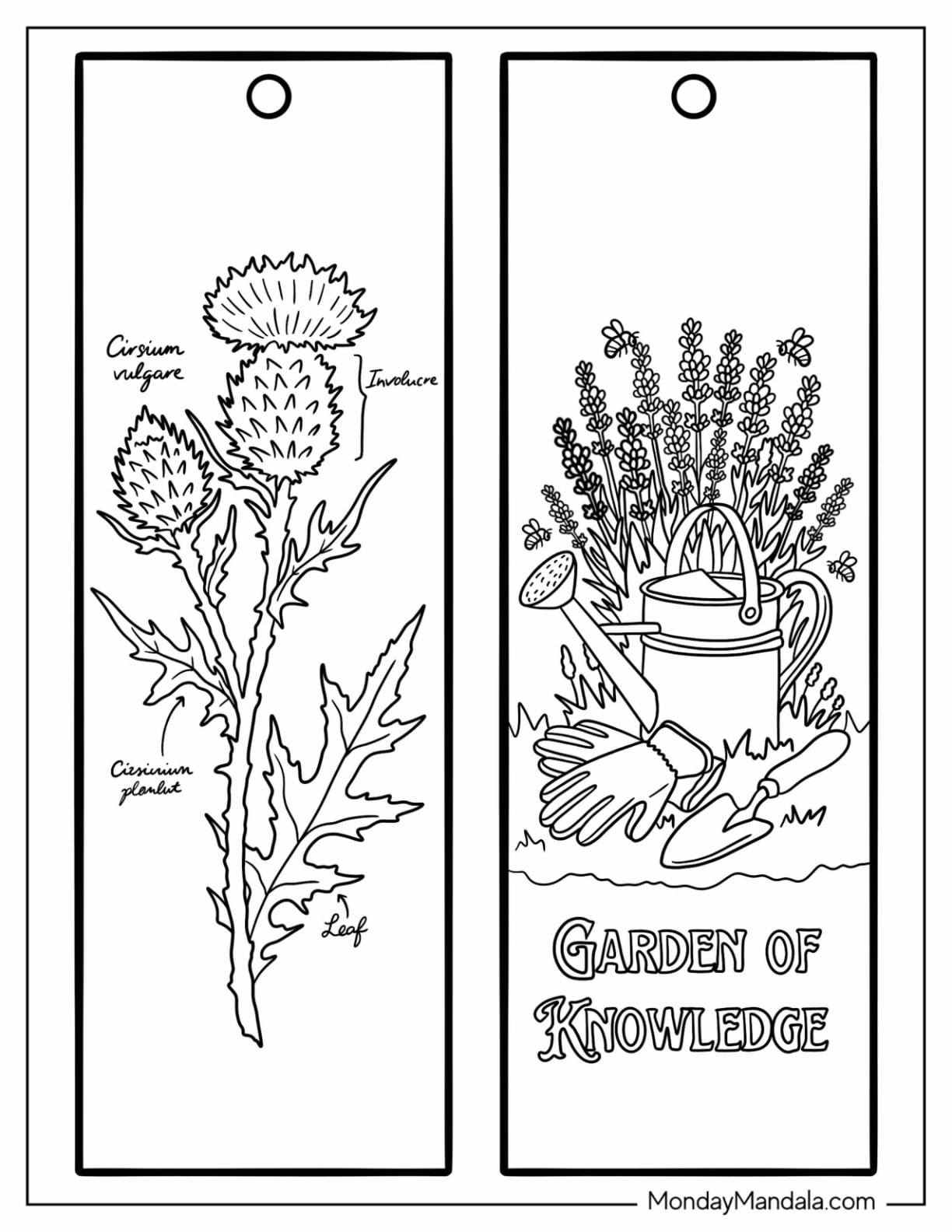 Botanical Thistle Diagram and Garden of Knowledge Bookmark Coloring Page