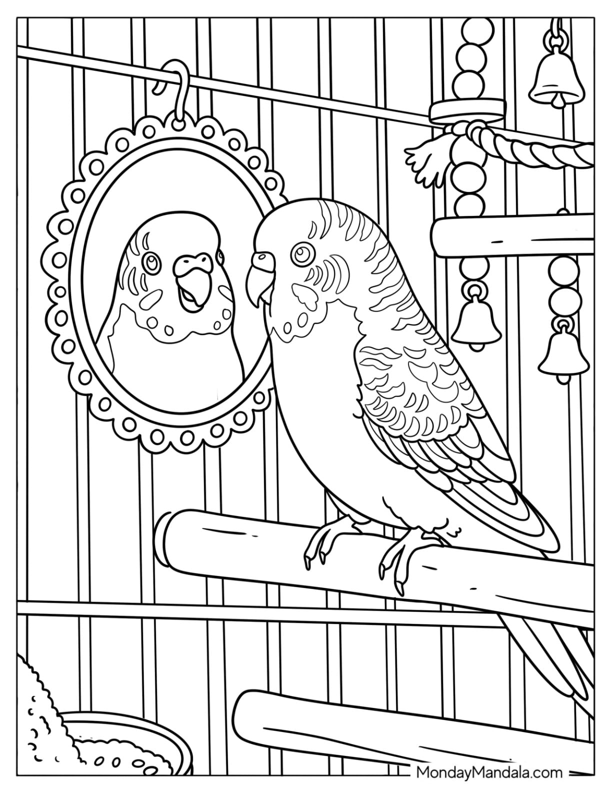 Budgerigar Parakeet Looking in a Mirror Coloring Page