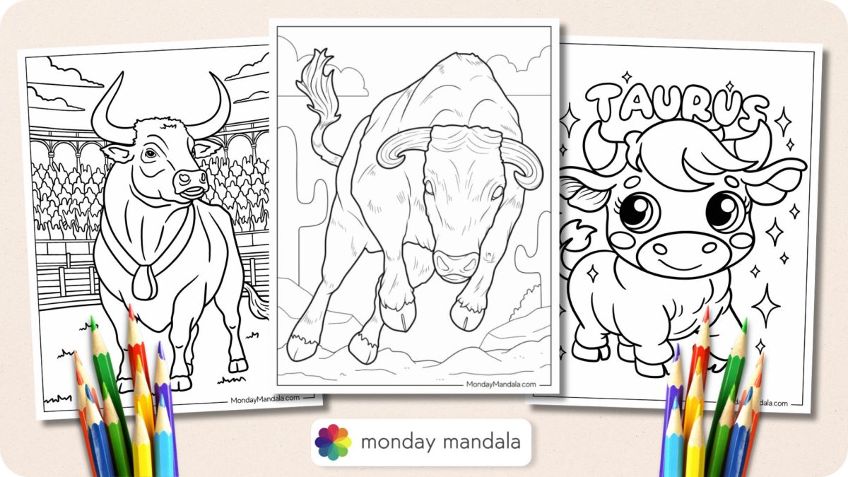 33 Bull Coloring Pages (Free PDF Printables)