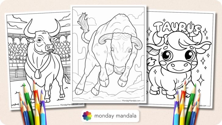 Bull Coloring Pages Featured Image v2