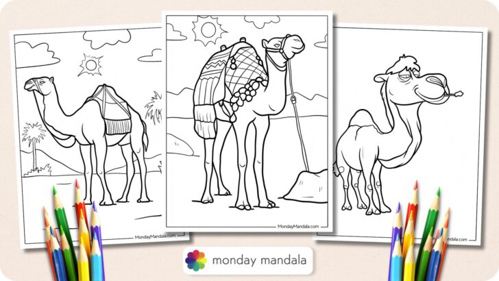 Camel Coloring Pages Featured Image