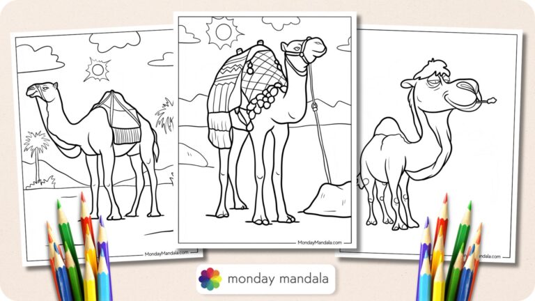 20 Camel Coloring Pages (Free PDF Printables)