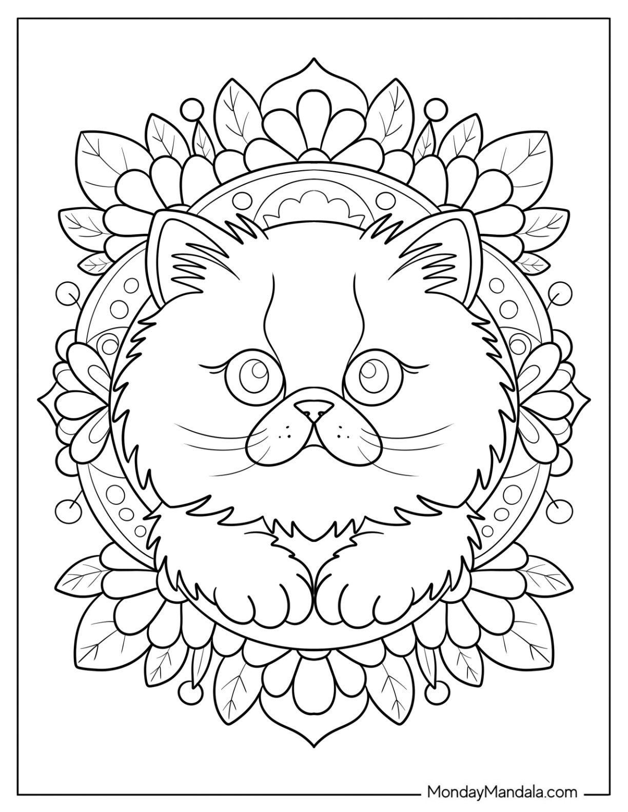 Cat Coloring Page Framed by Intricate Floral Mandala for Kids