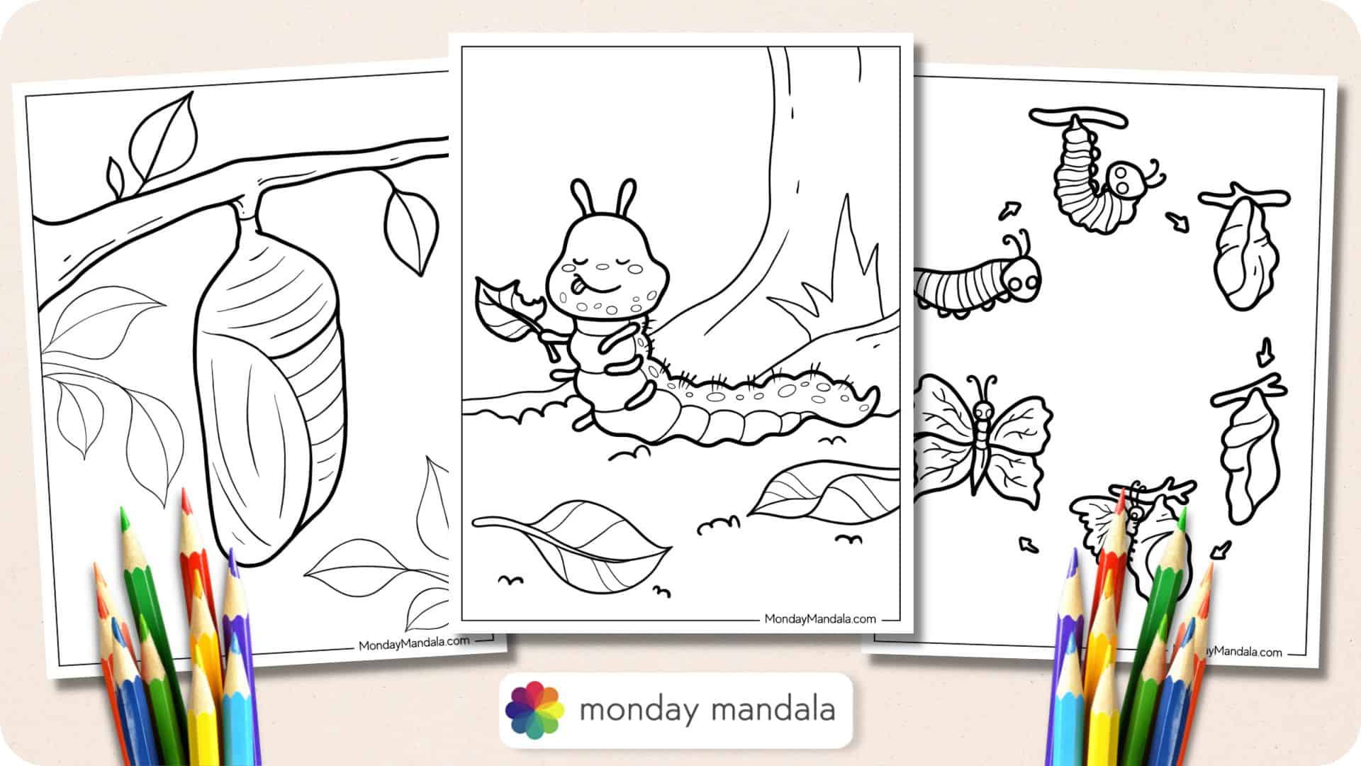 coloring pages caterpillar to butterfly