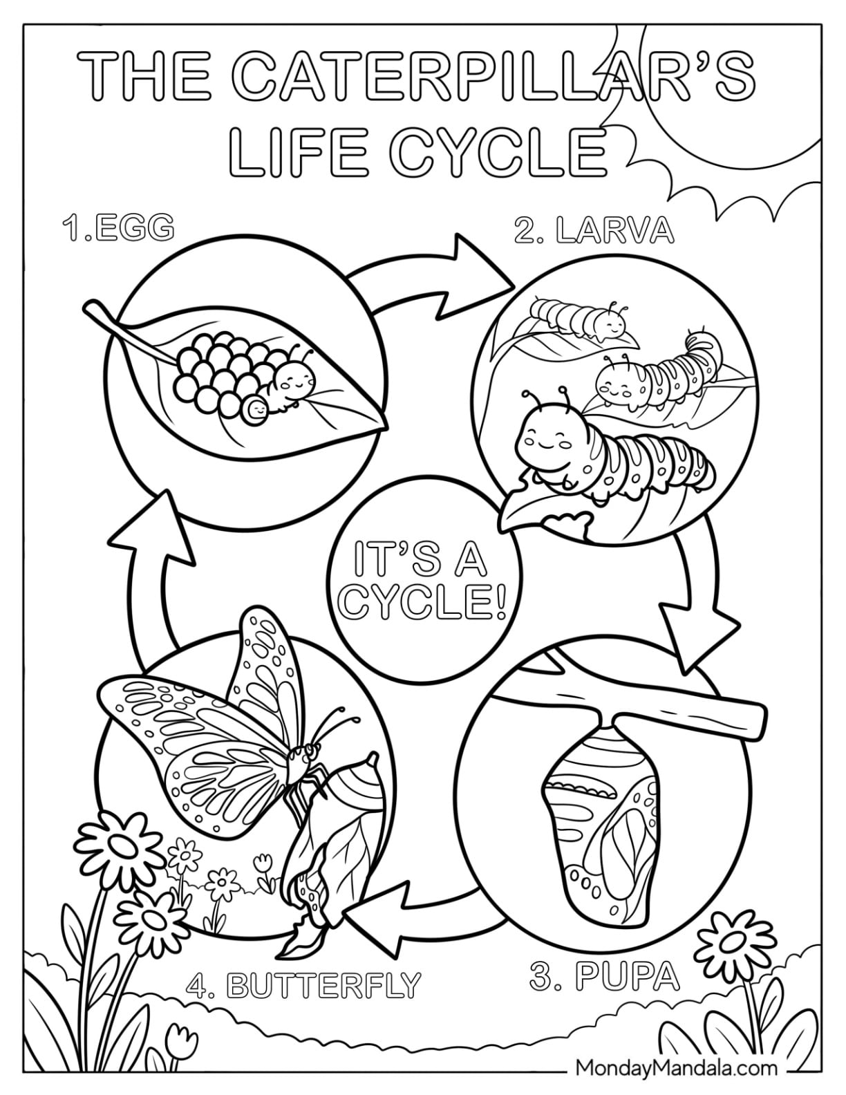 Caterpillar Coloring Page Life Cycle Diagram with Egg, Larva, Pupa, and Butterfly