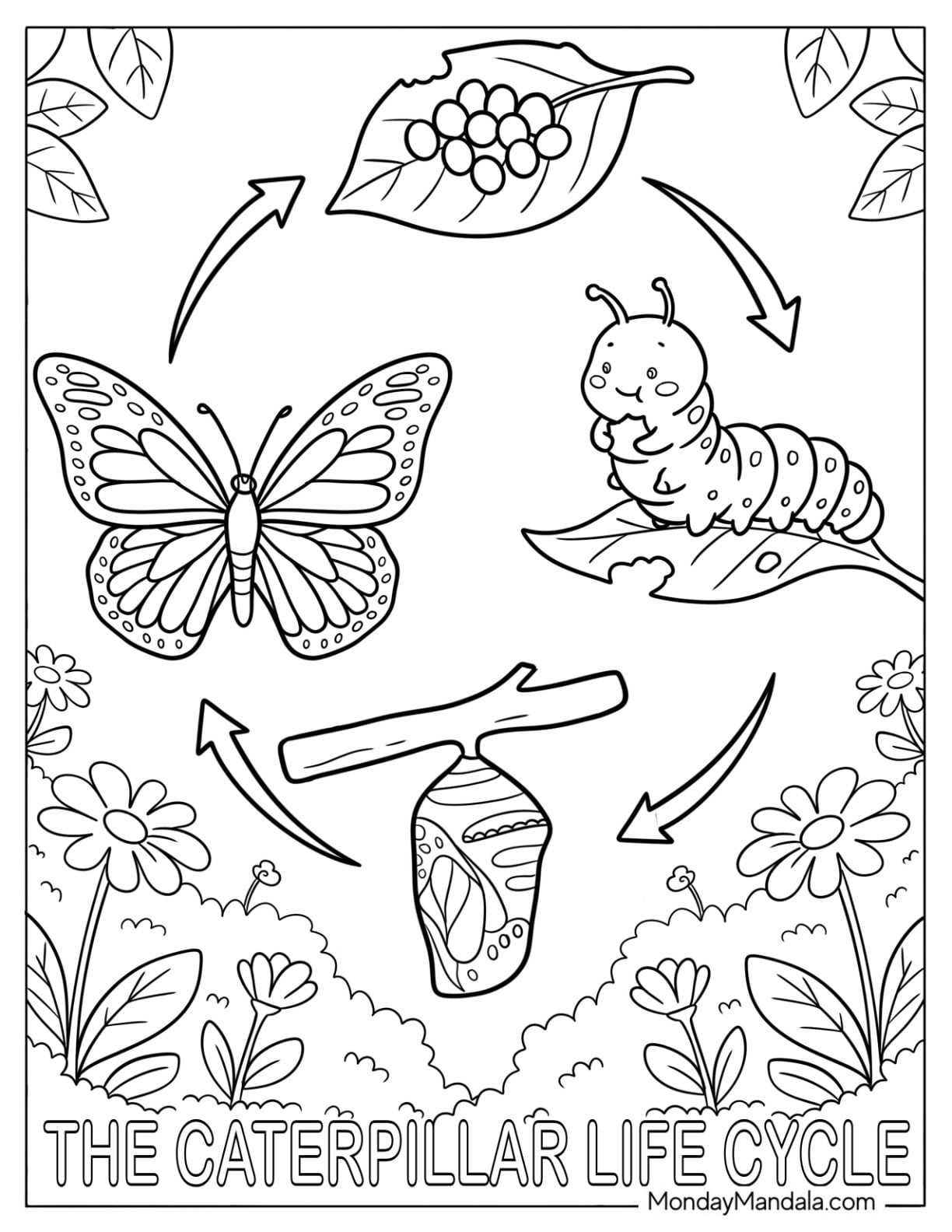 Caterpillar Coloring Page Life Cycle with Leaf, Chrysalis, and Butterfly