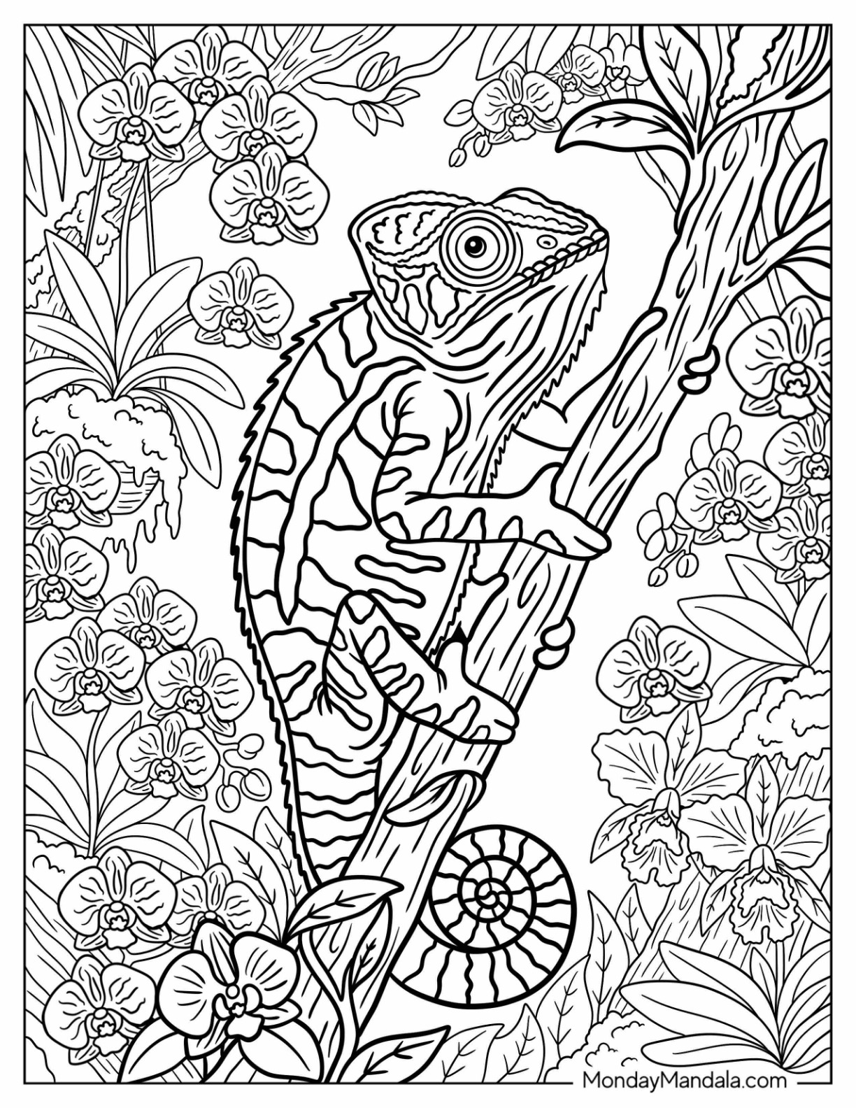 Chameleon Climbing a Flowering Tree Coloring Sheet