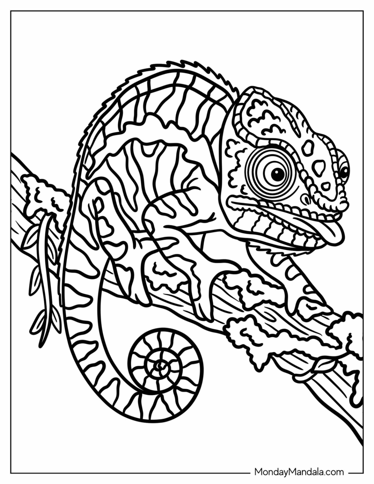 Chameleon Resting on a Tree Branch with Curled Tail Coloring Page