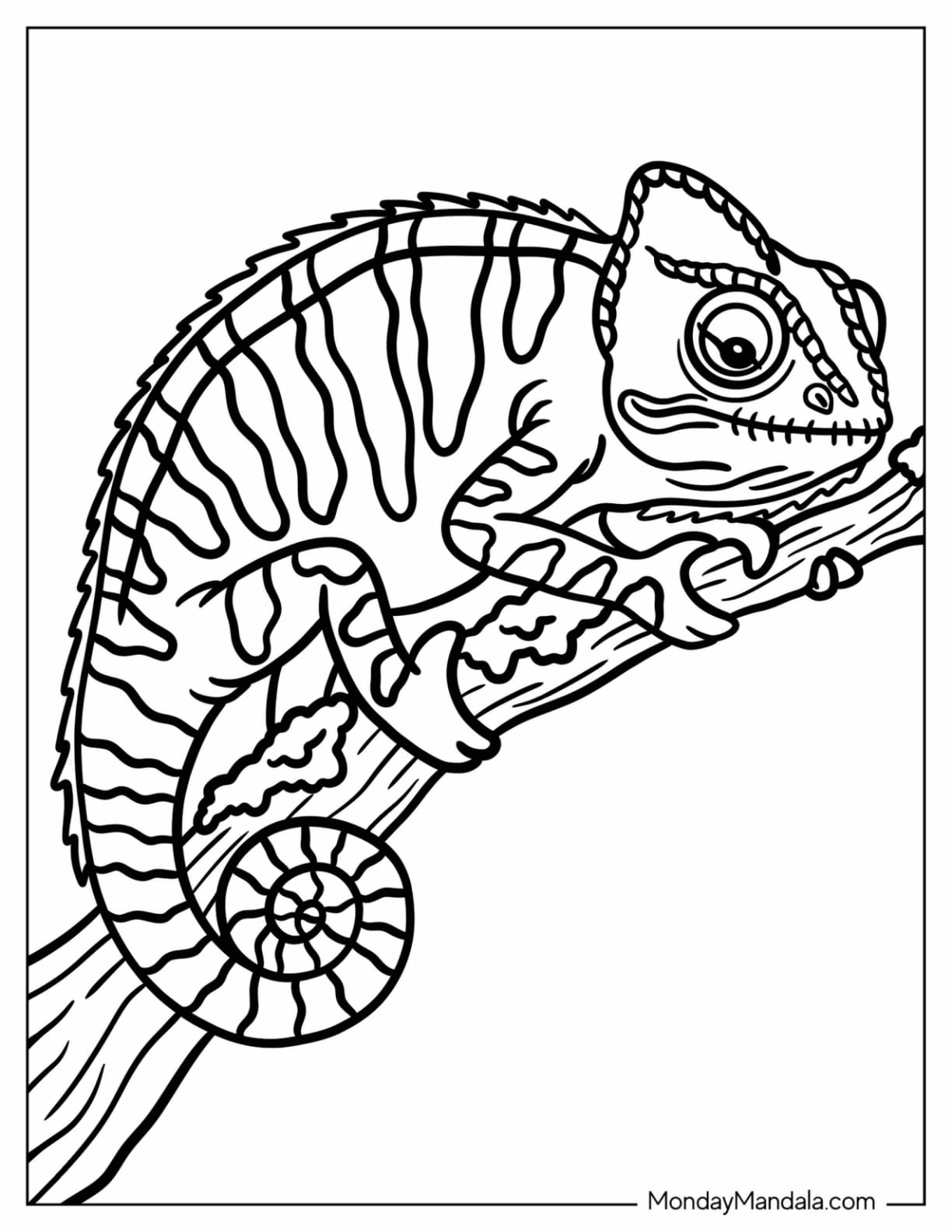 Chameleon Resting on a Tree Branch with Curled Tail Coloring Page(1)