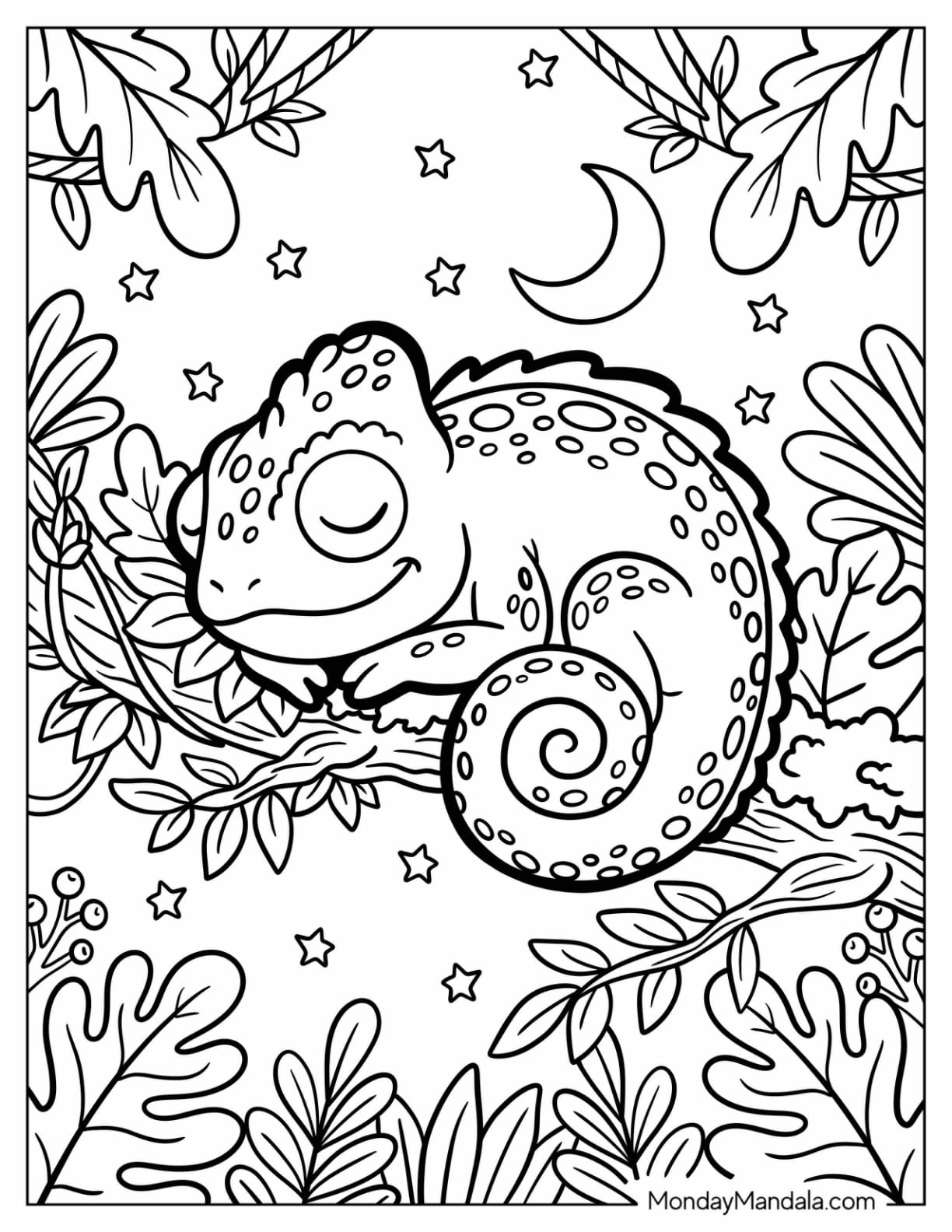 Chameleon Sleeping on a Branch Under the Moon and Stars Coloring Page for Kids