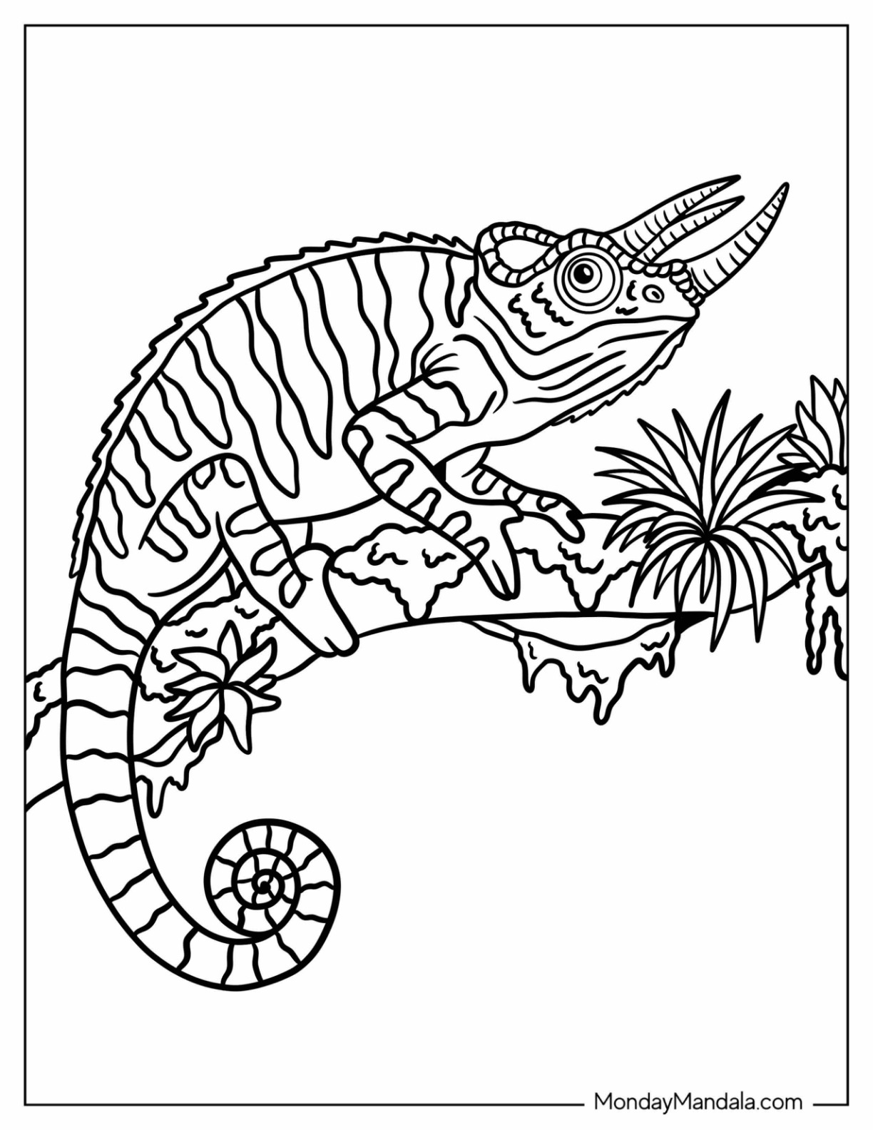 Chameleon with Horns Climbing a Tree Branch Coloring Sheet