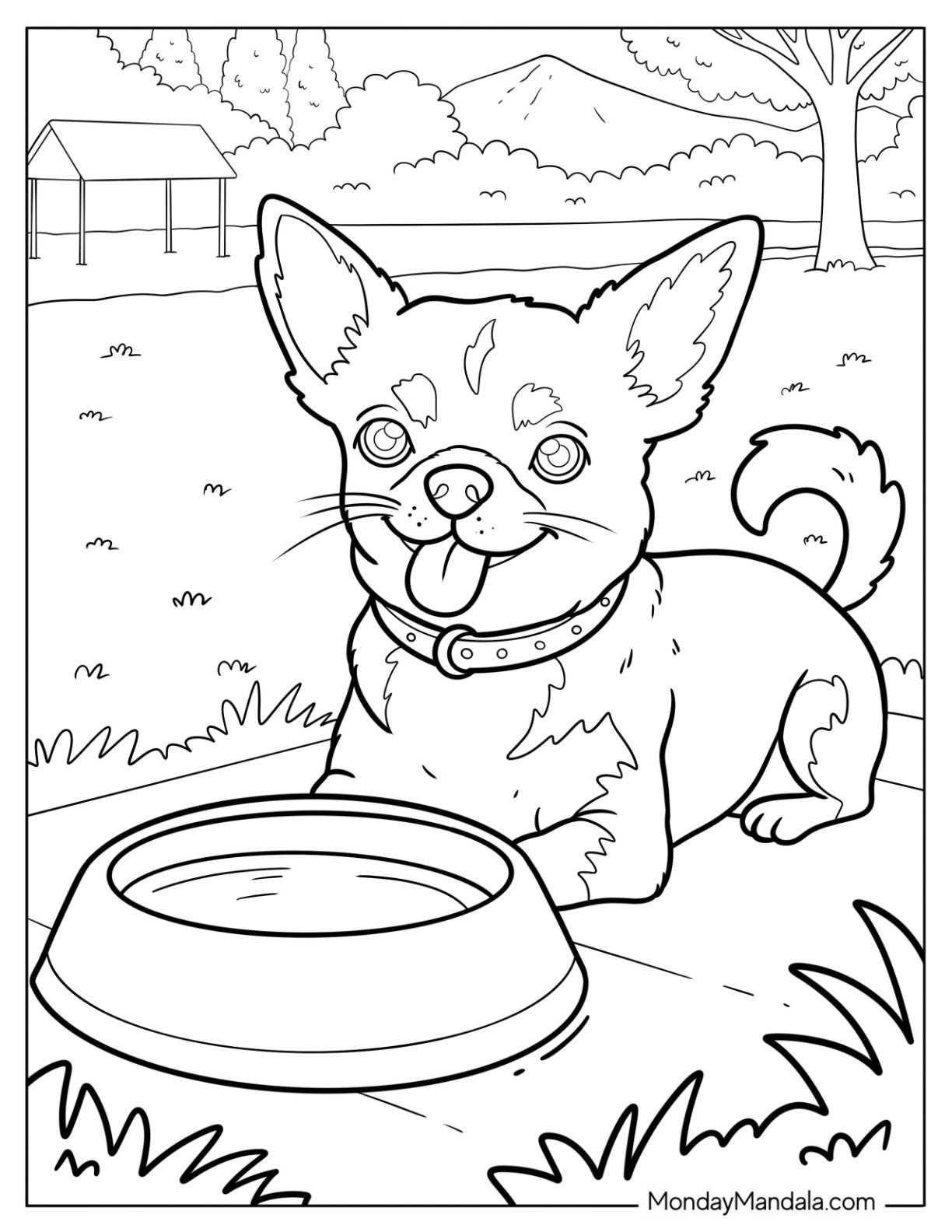 Chihuahua Coloring Page with Collar Panting Beside Water Bowl