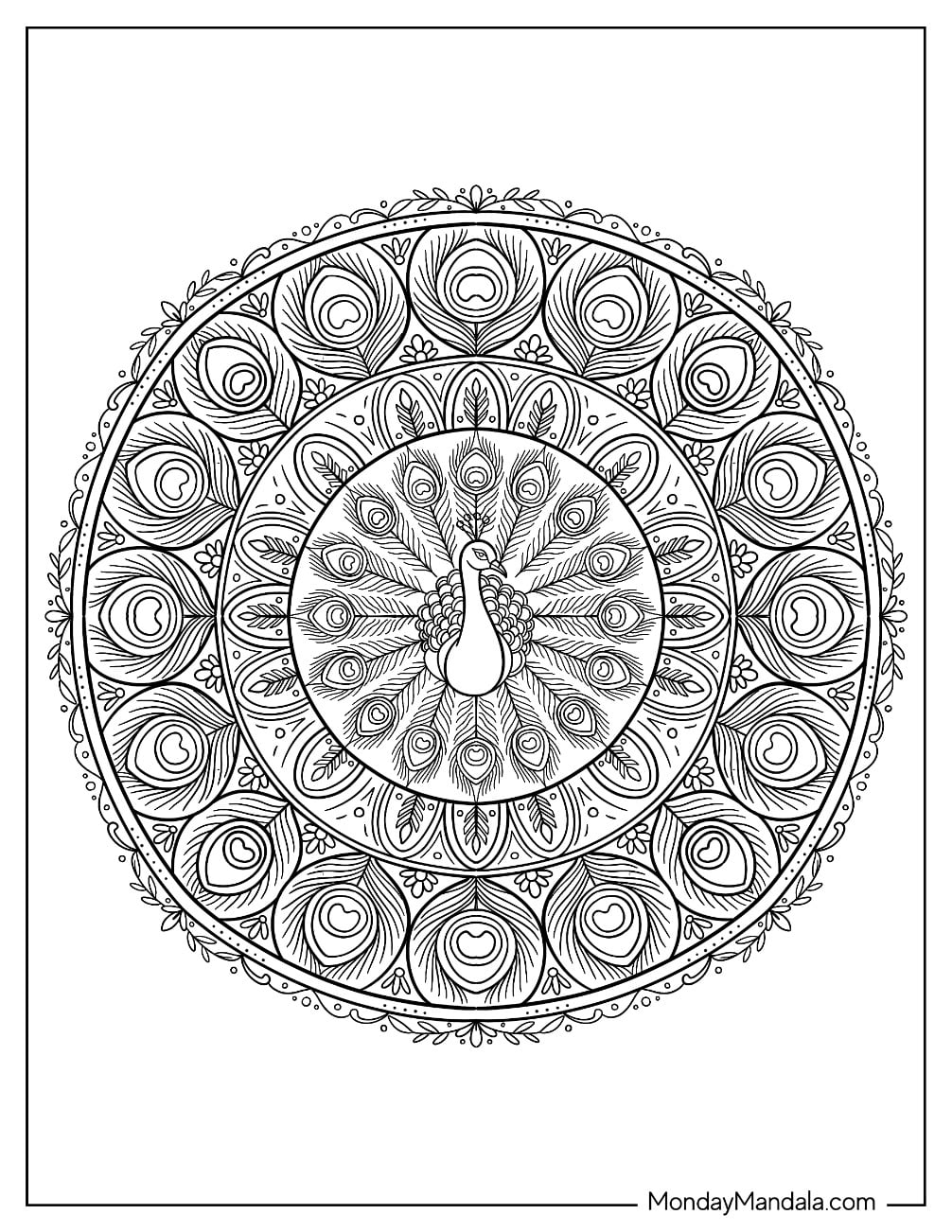 Circular Peacock Mandala with Detailed Feather Patterns