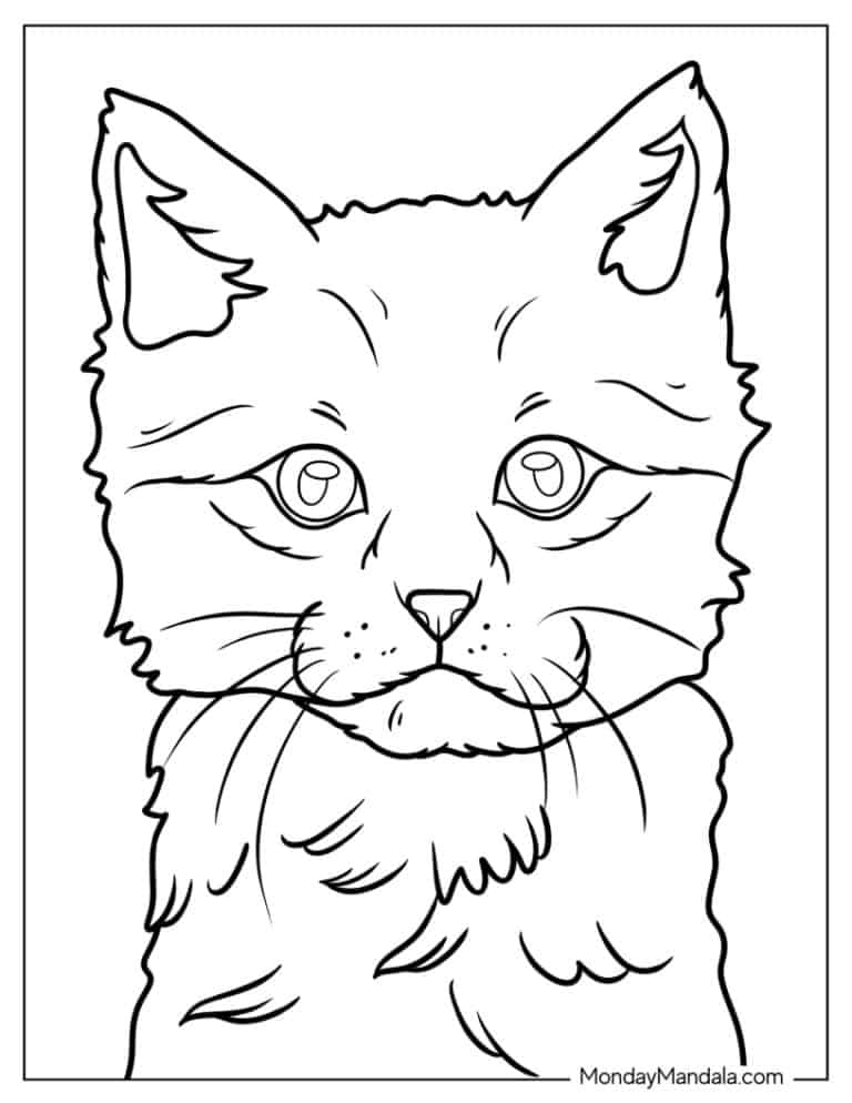 30 Kitten Coloring Pages (Free PDF Printables)