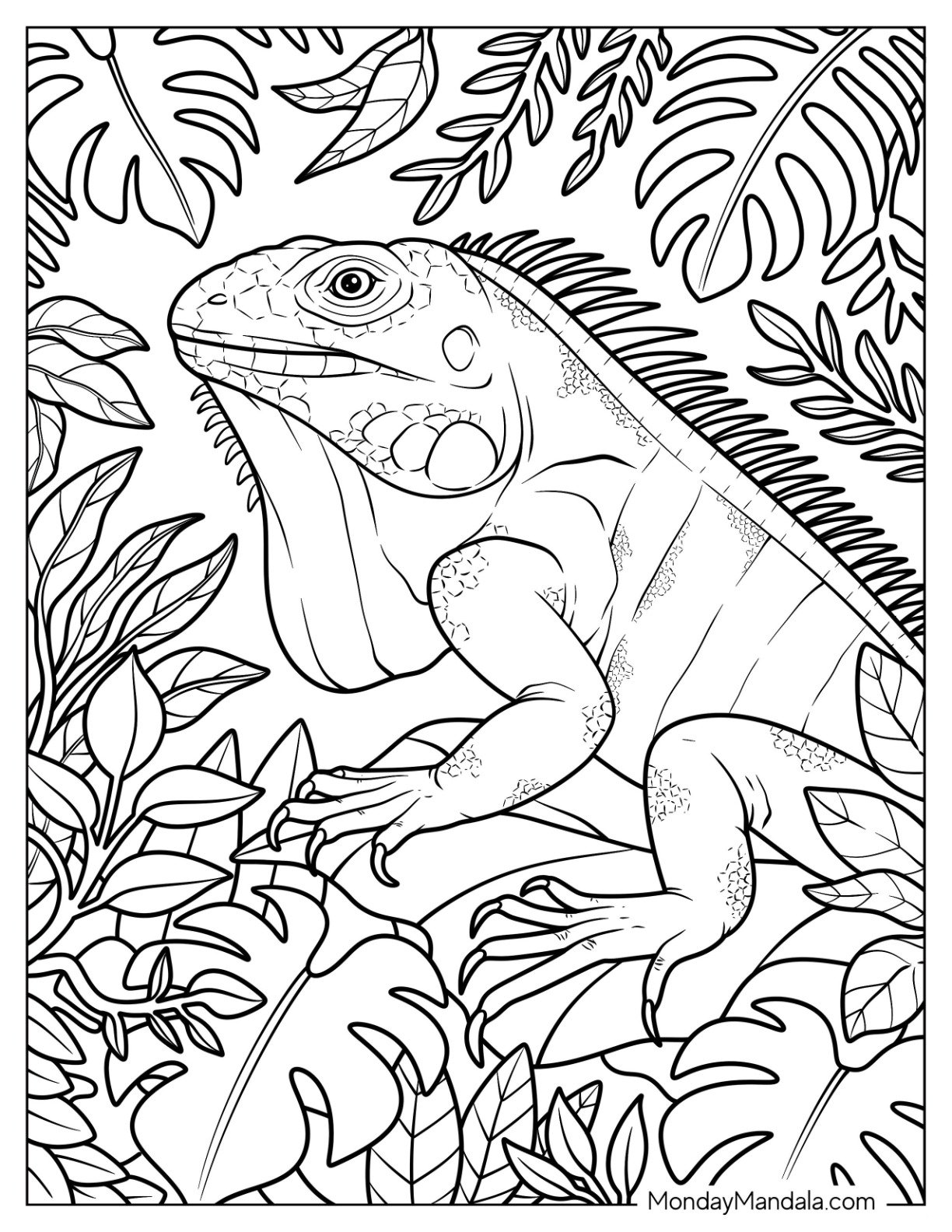 Close Up of Iguana Coloring Page in the Jungle