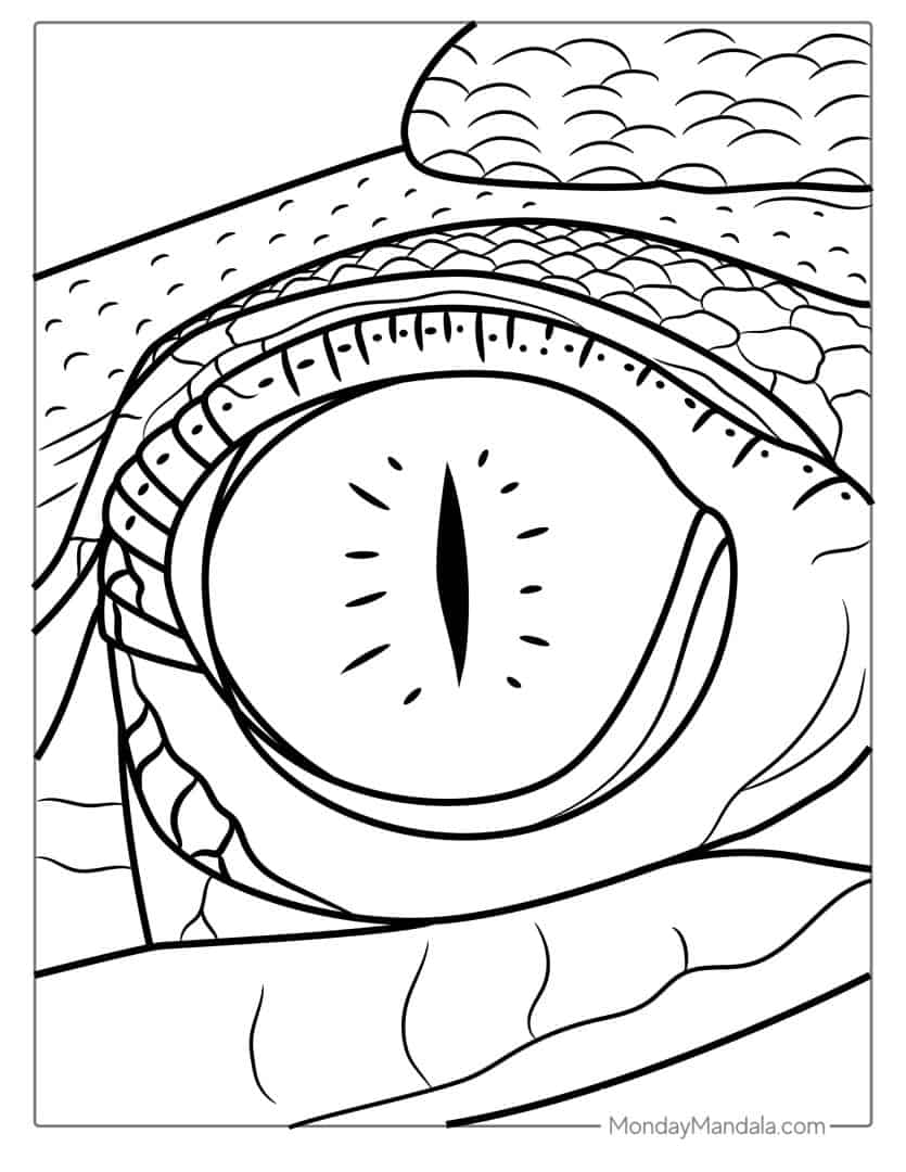 25 Crocodile Coloring Pages (Free PDF Printables)