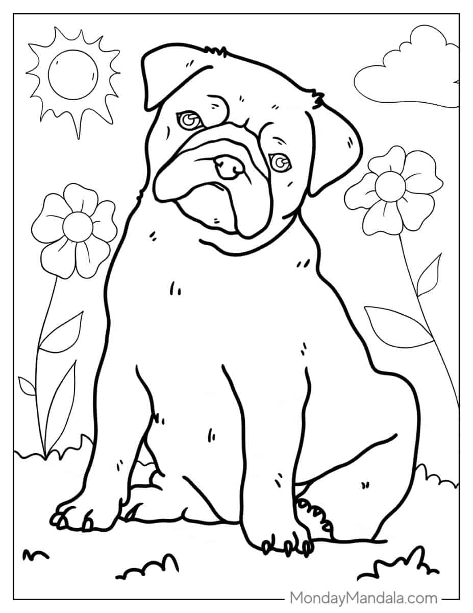 43 Pug Coloring Pages (Free PDF Printables)