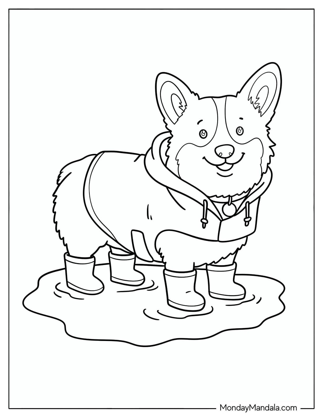 Corgi Wearing Rain Boots and a Raincoat in a Puddle