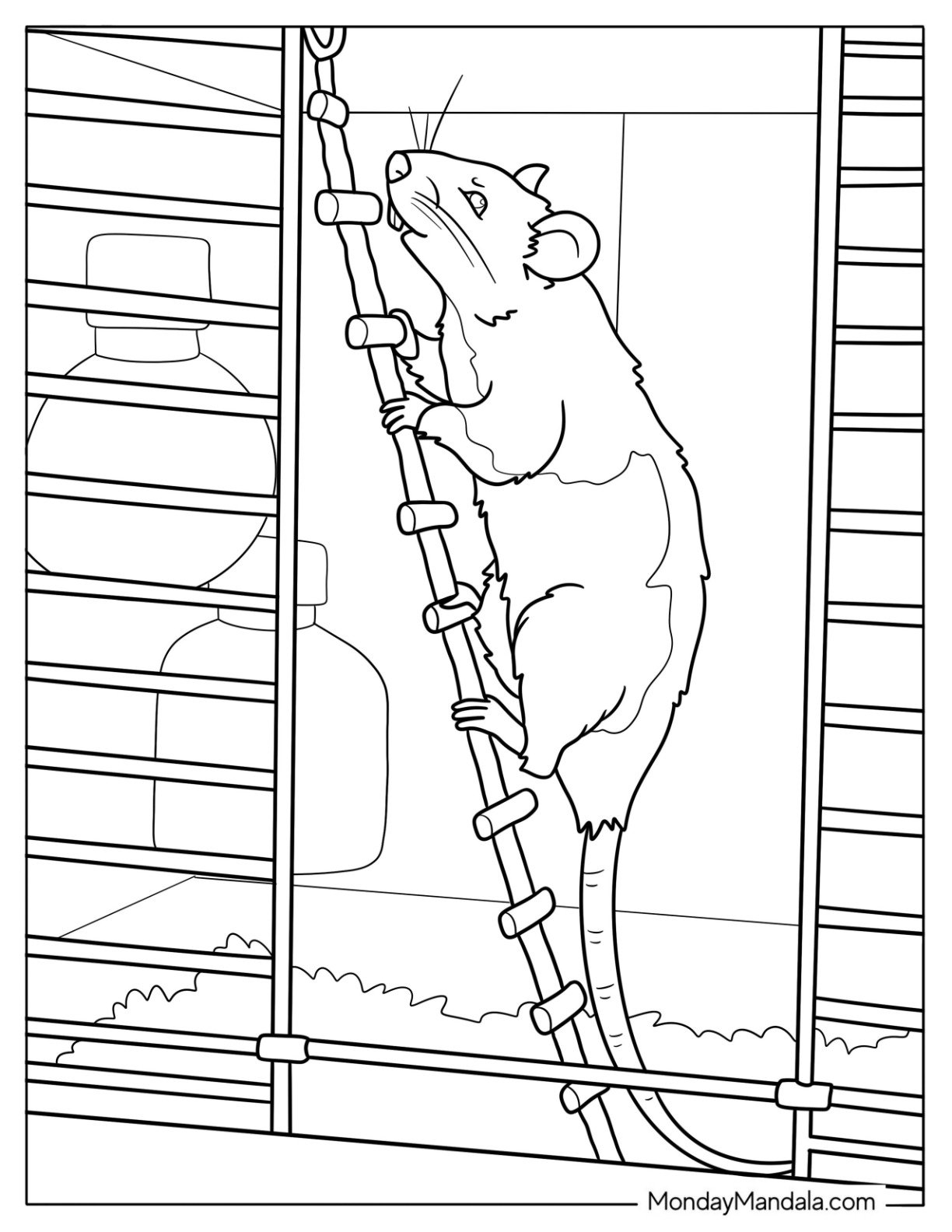 Curious Rat Coloring Page Climbing a Rope Ladder Inside a Cage