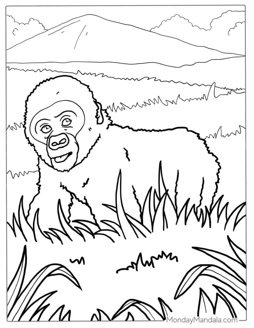 24 Gorilla Coloring Pages (Free PDF Printables)