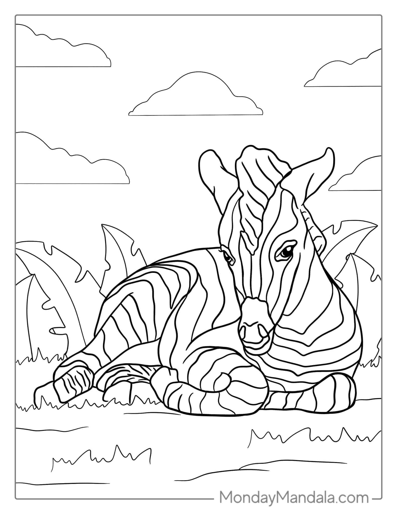 20 Zebra Coloring Pages (Free PDF Printables)
