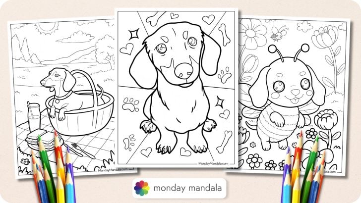 Dachshund Coloring Pages Featured Image v2