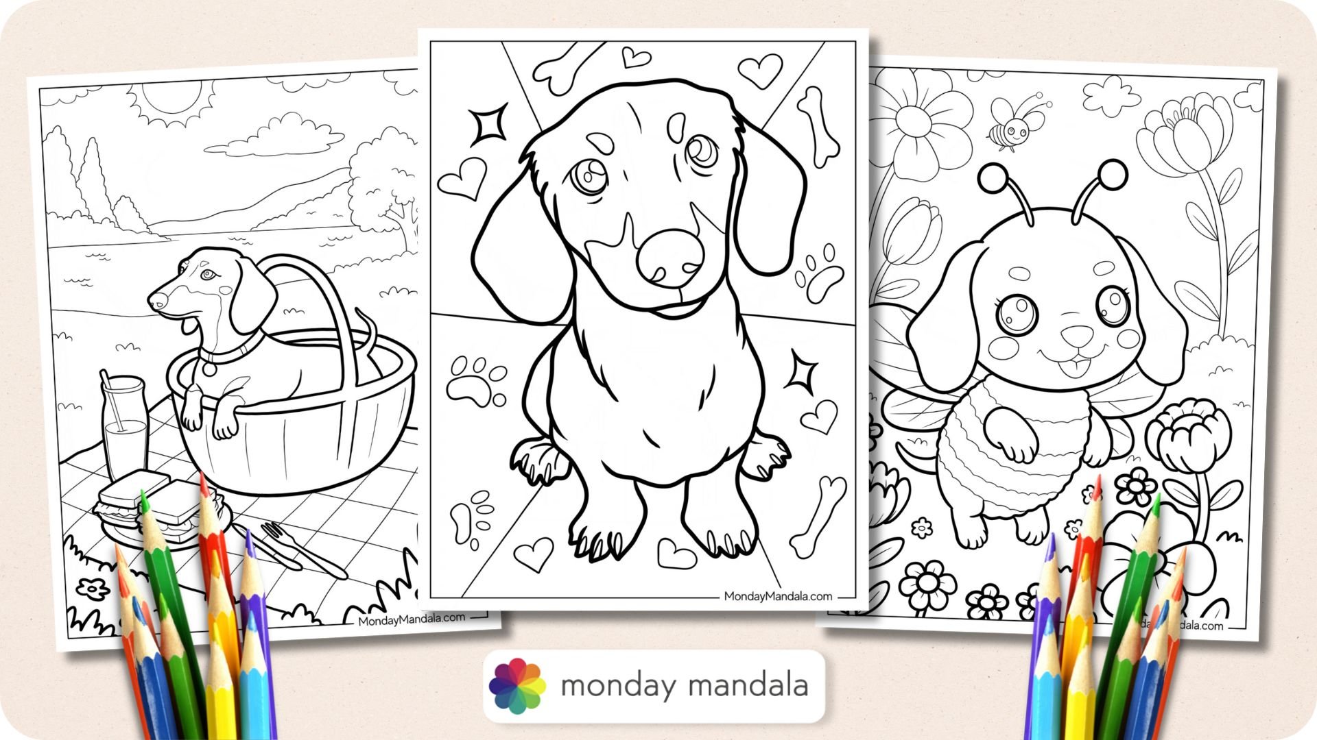 Dachshund Coloring Pages Featured Image v2