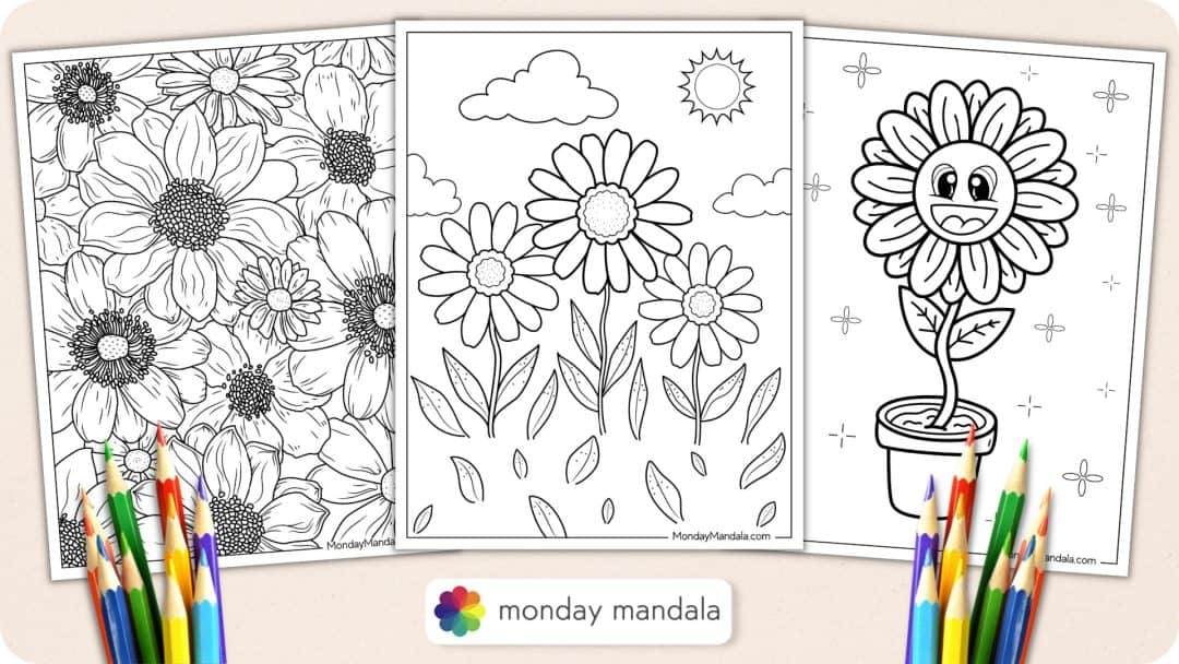20 Daisy Coloring Pages (Free PDF Printables)