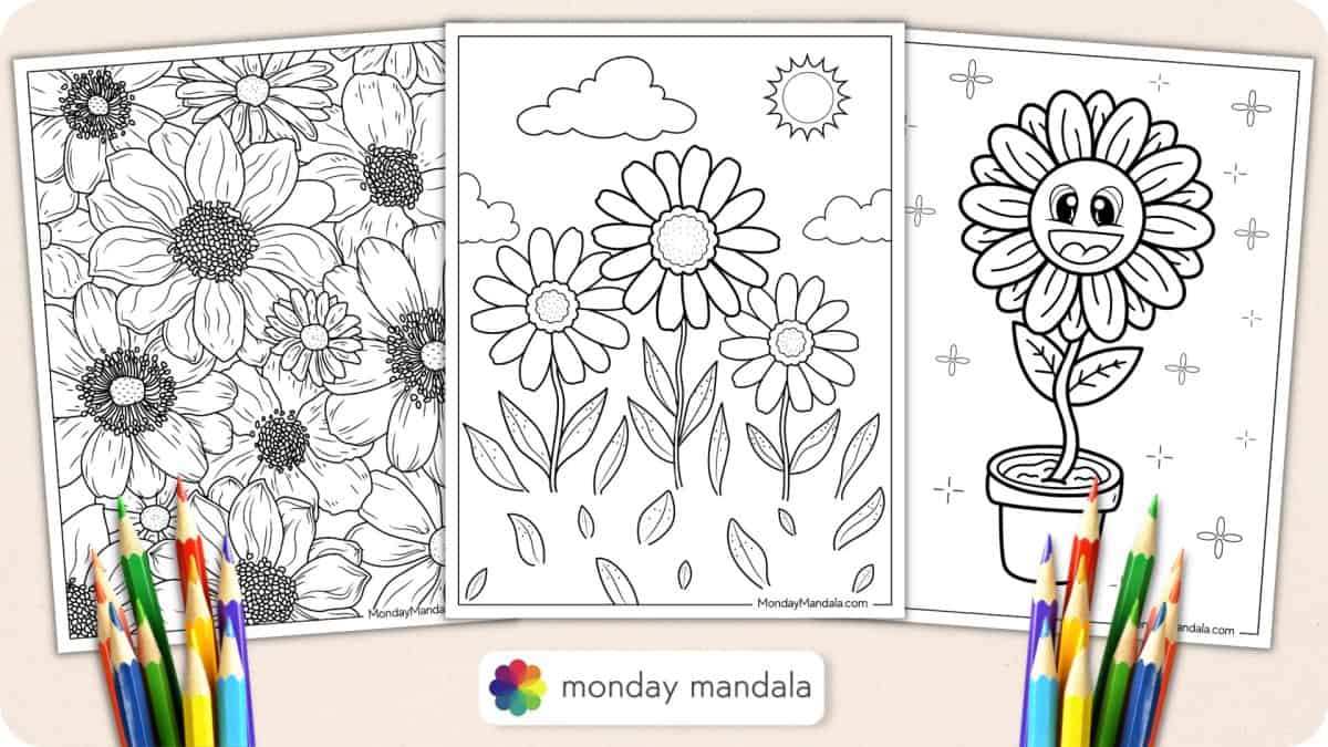 20 Daisy Coloring Pages (Free PDF Printables)