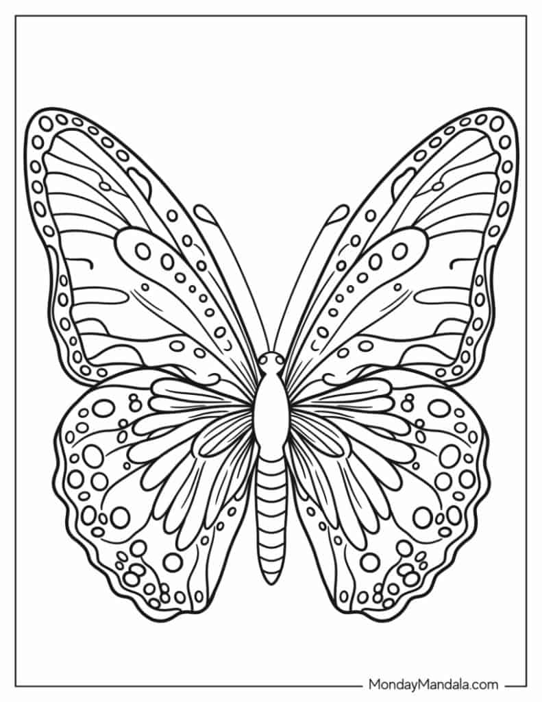 62 Butterfly Coloring Pages (Free PDF Printables)