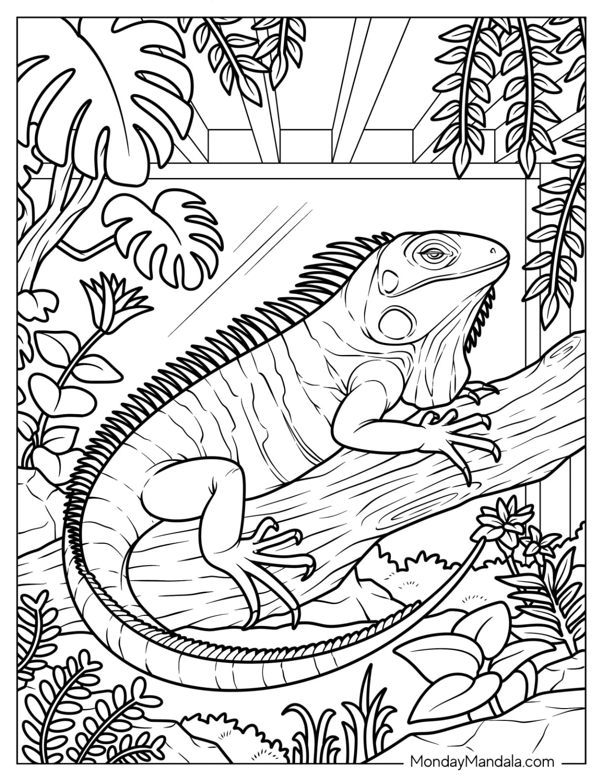 Detailed Iguana Coloring Page Resting on a Branch