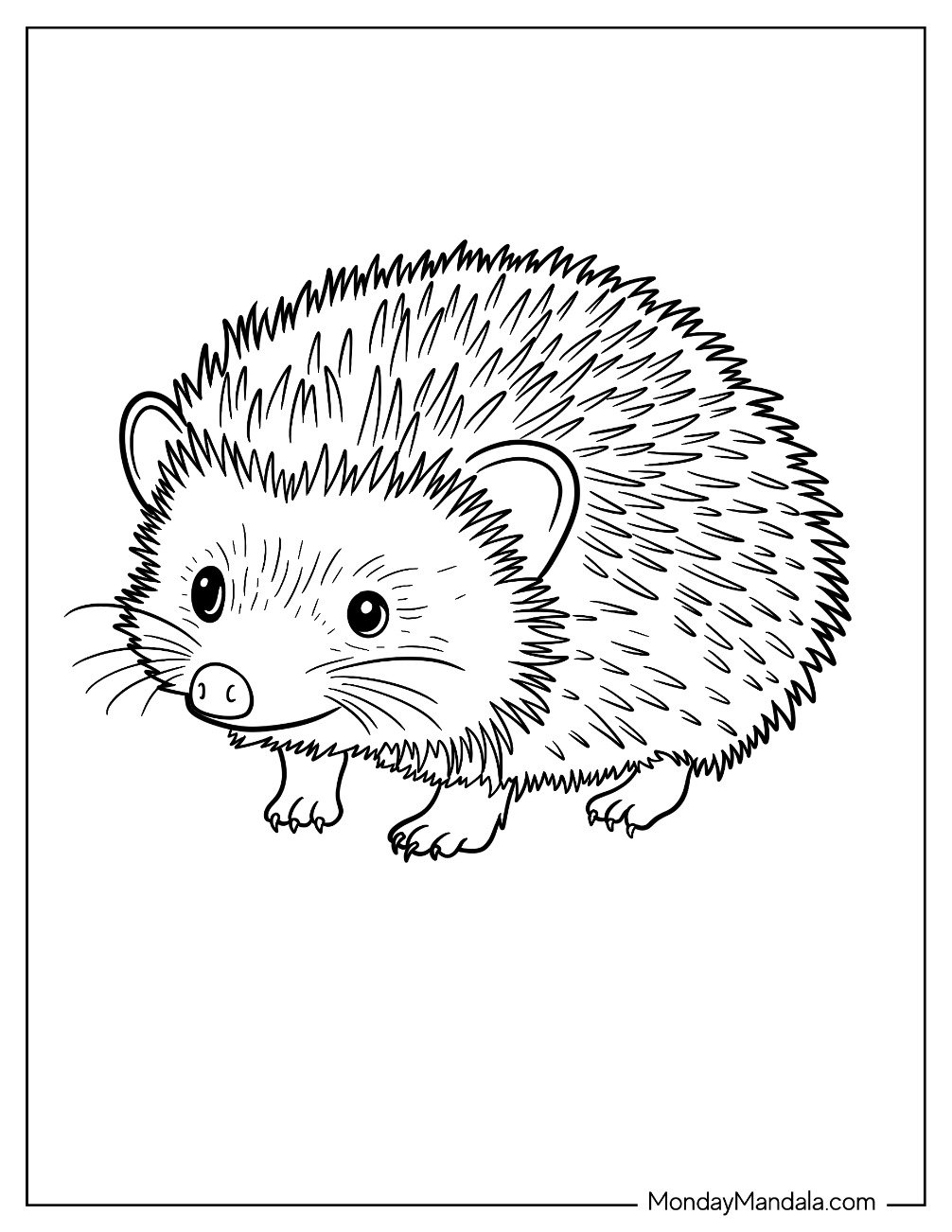 Detailed Little Hedgehog Coloring Page with Long Whiskers