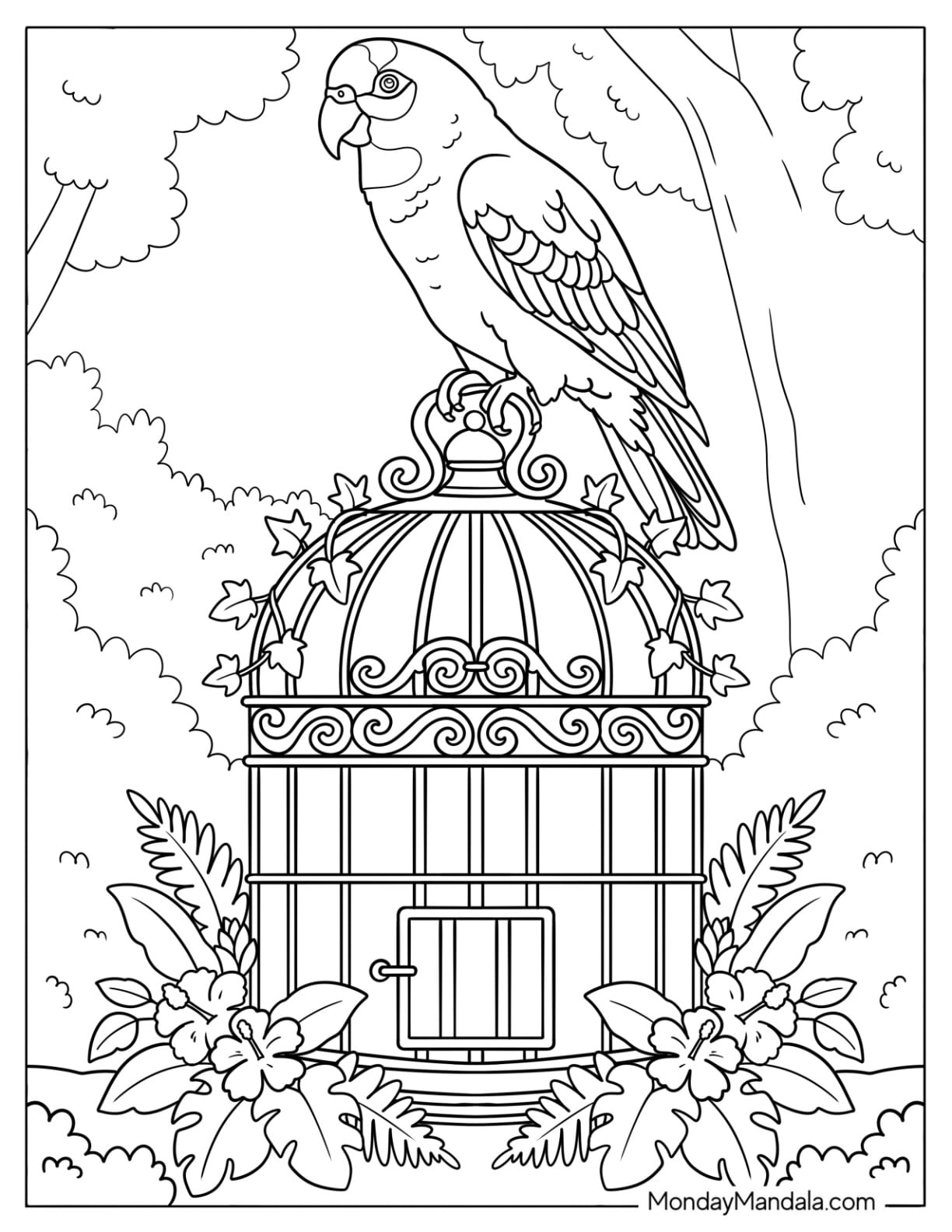 Detailed Macaw Parrot Perched on a Birdcage Coloring Page