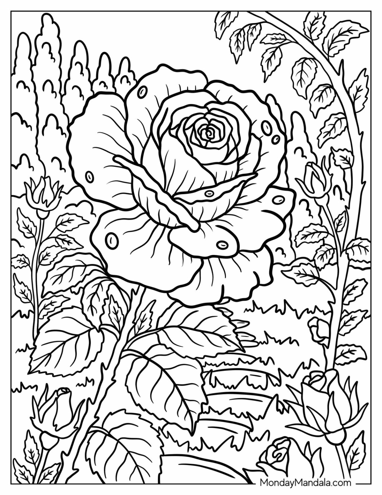Dewy Rose Coloring Page in Full Bloom in the Garden